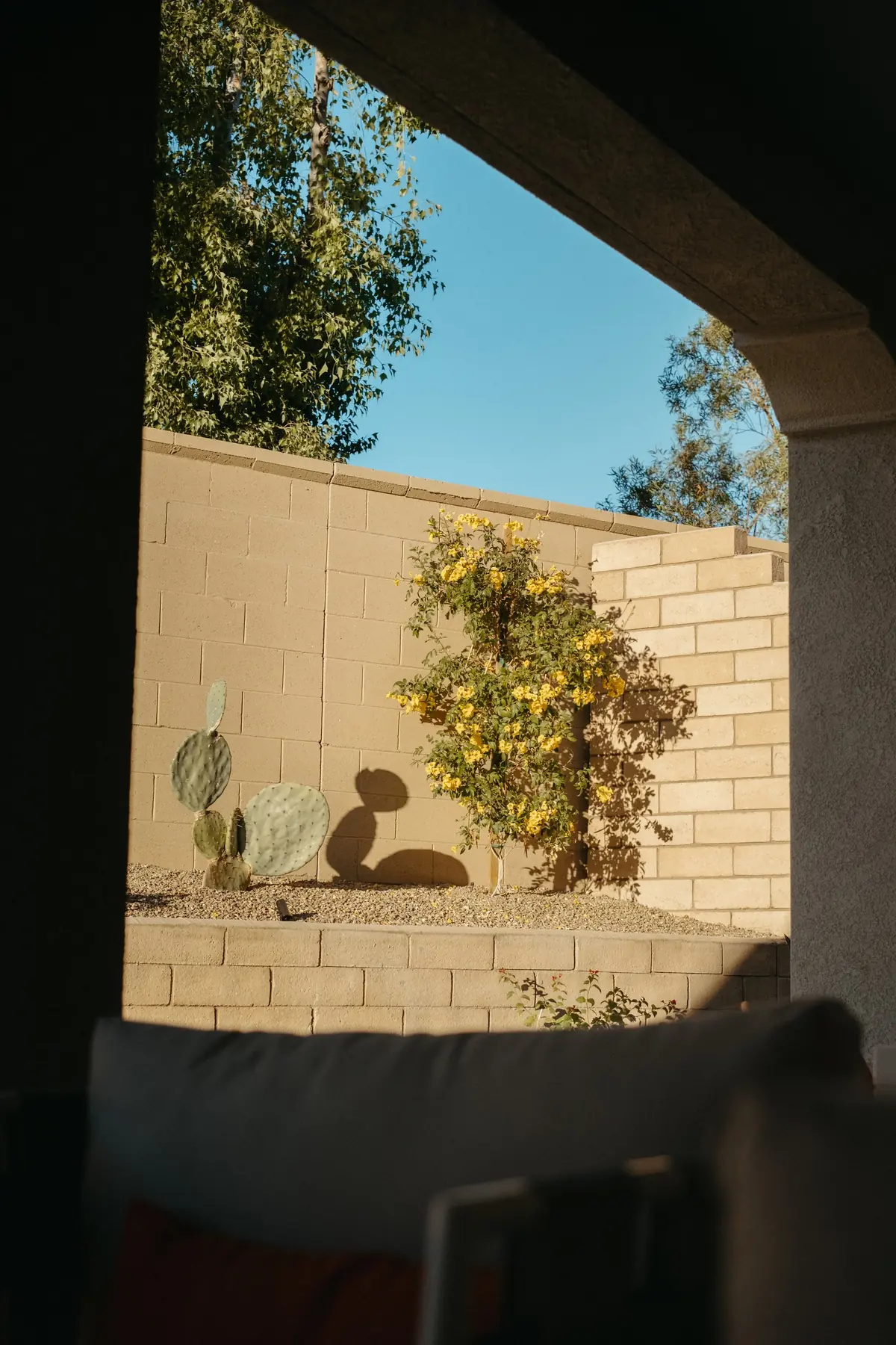 Alba Way outdoor living in Coachella Valley, CA by La Riviera Studios
