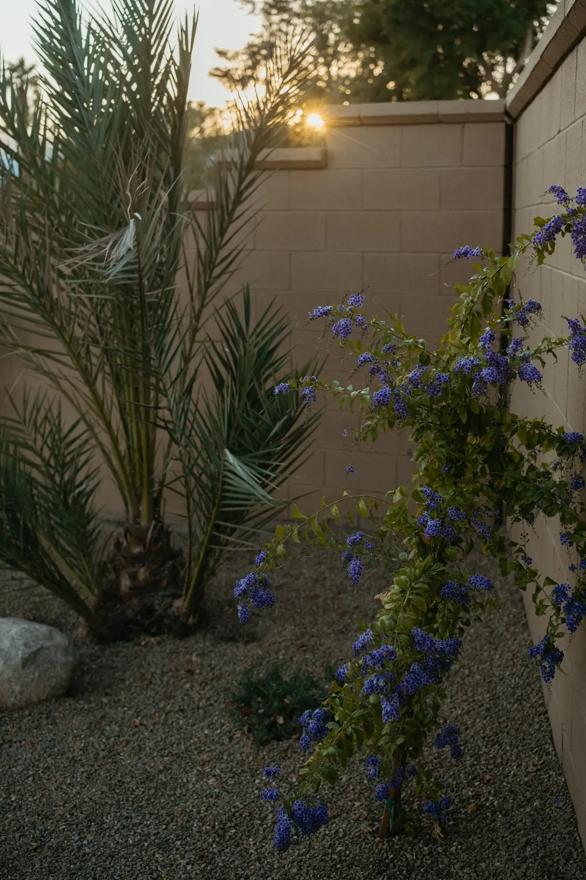 Alba Way outdoor living in Coachella Valley, CA by La Riviera Studios