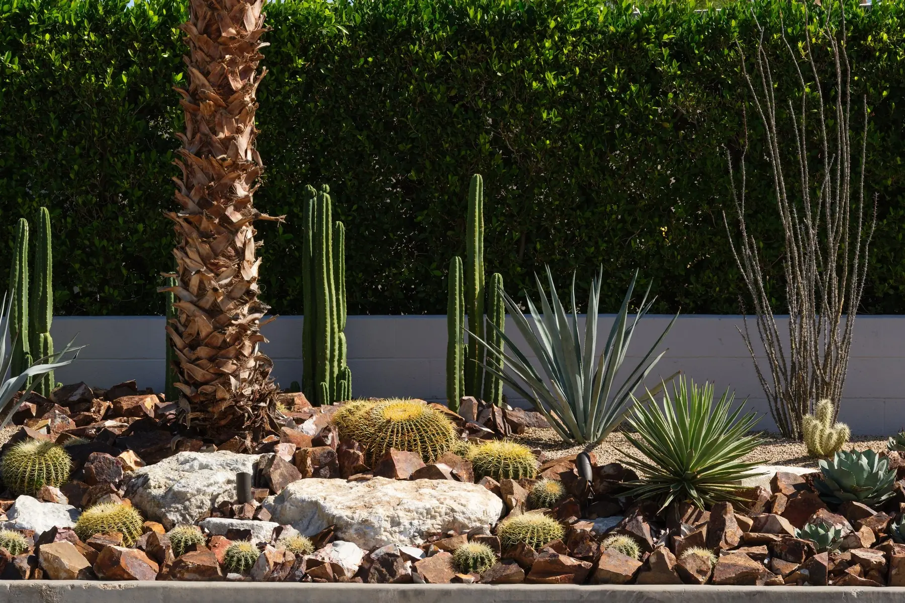 Cactus Shield outdoor living in Coachella Valley, CA by La Riviera Studios
