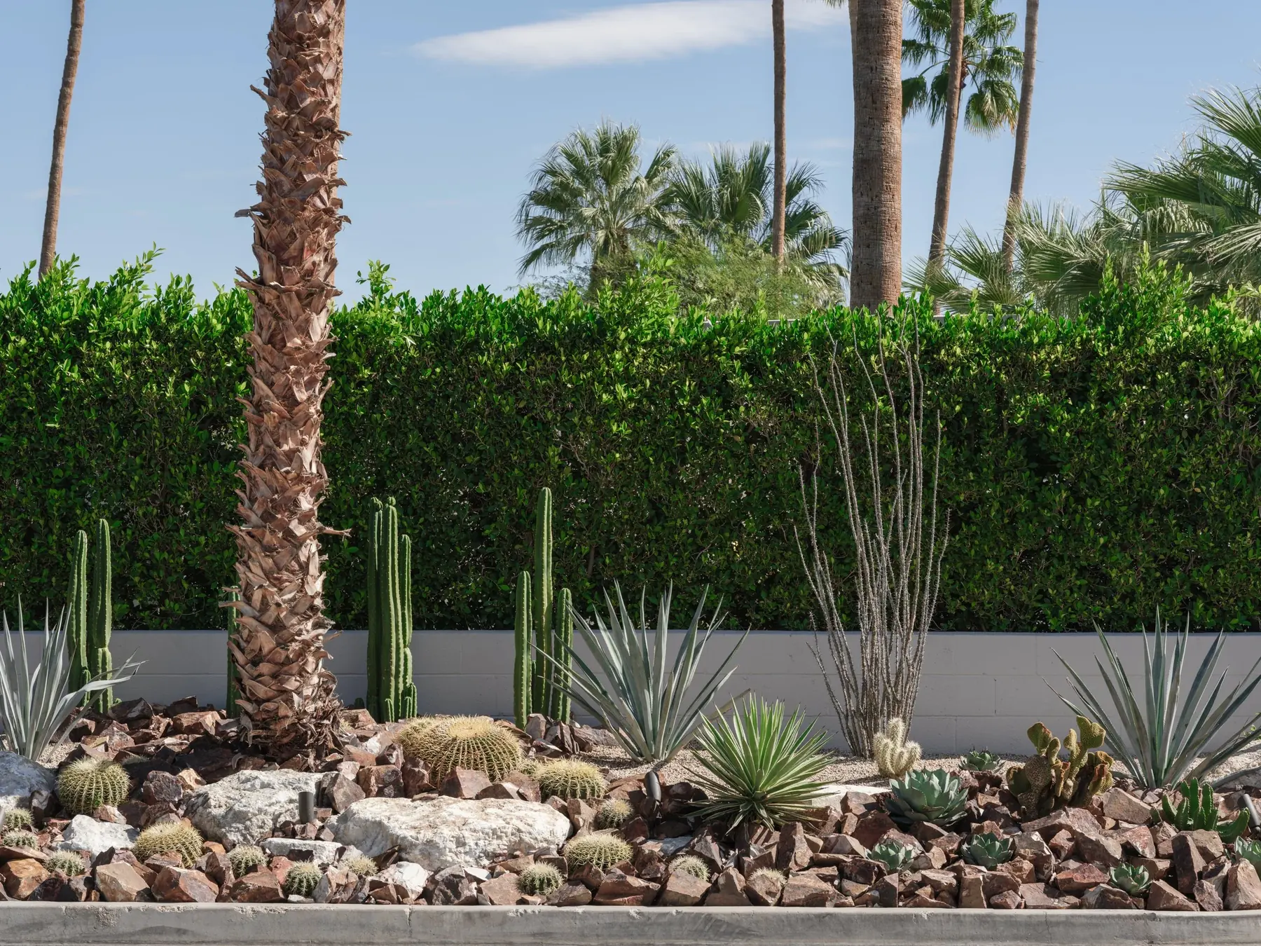 Cactus Shield outdoor living in Coachella Valley, CA by La Riviera Studios