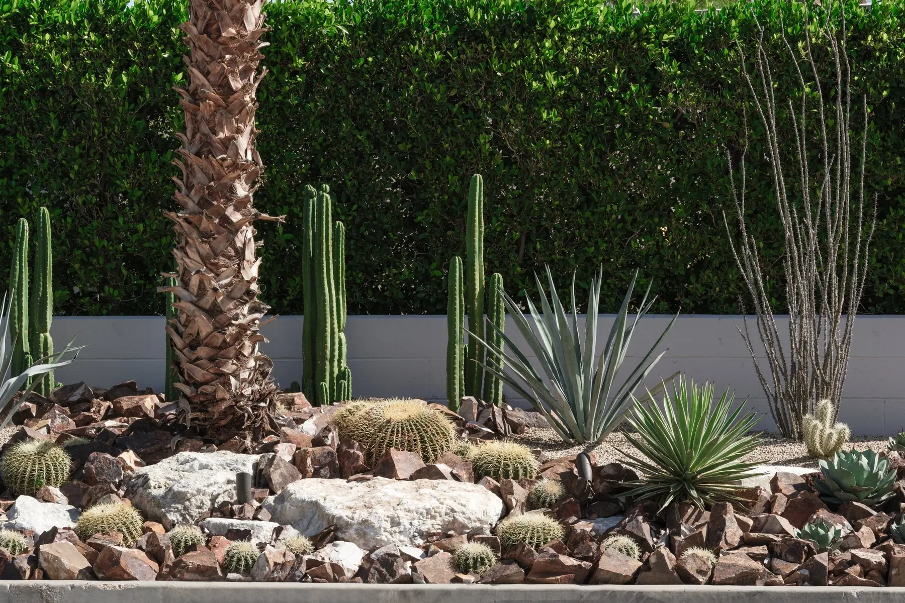 Cactus Shield outdoor living in Coachella Valley, CA by La Riviera Studios