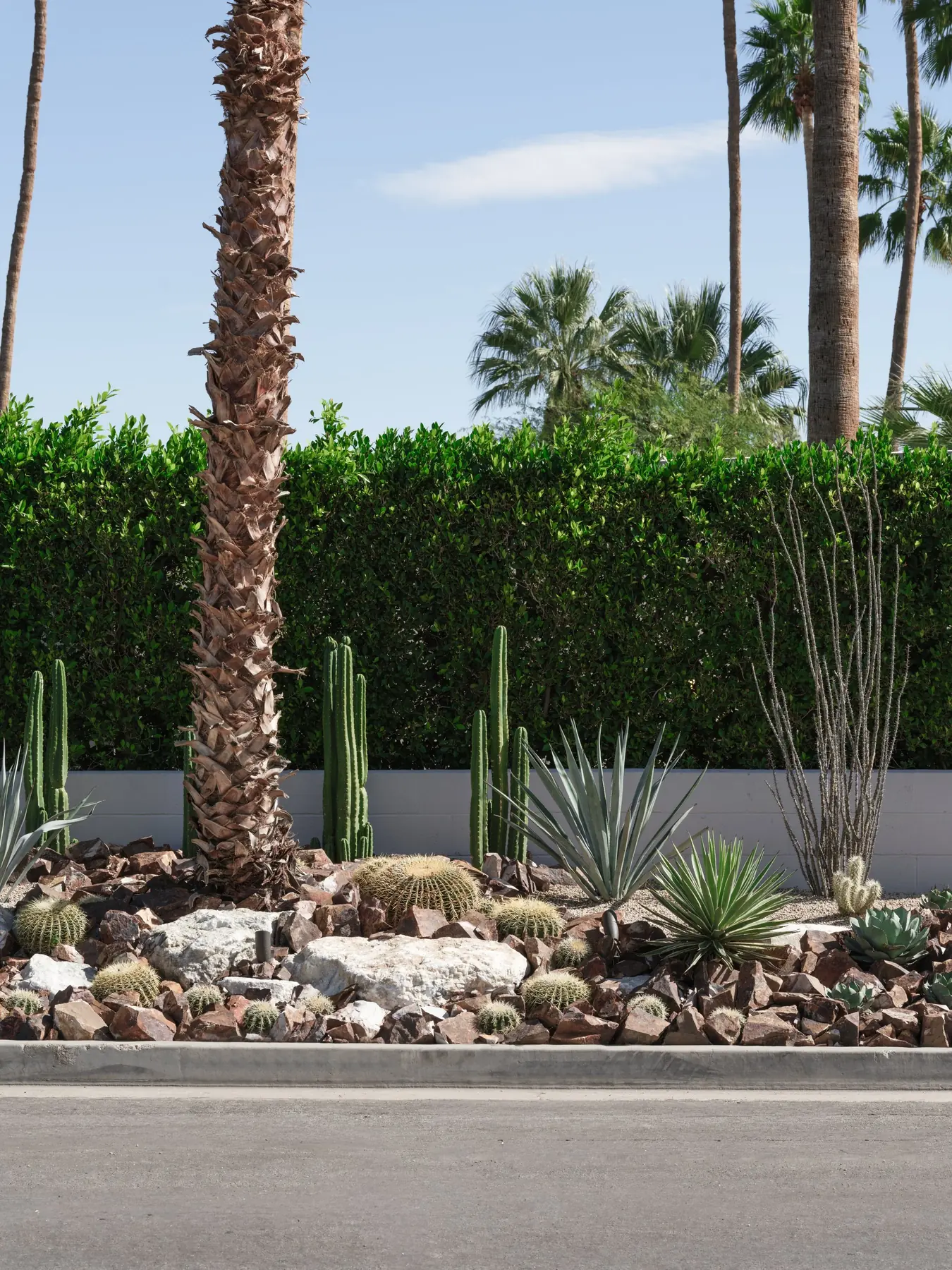 Cactus Shield outdoor living in Coachella Valley, CA by La Riviera Studios