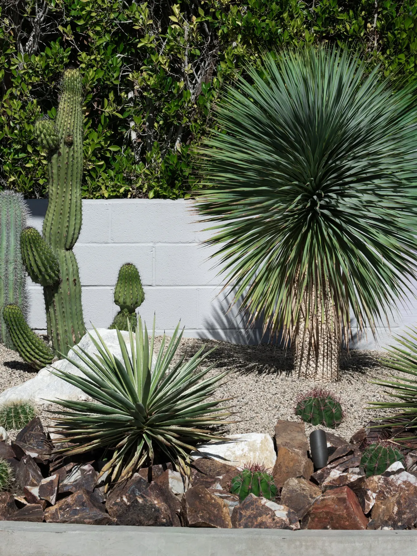 Cactus Shield outdoor living in Coachella Valley, CA by La Riviera Studios