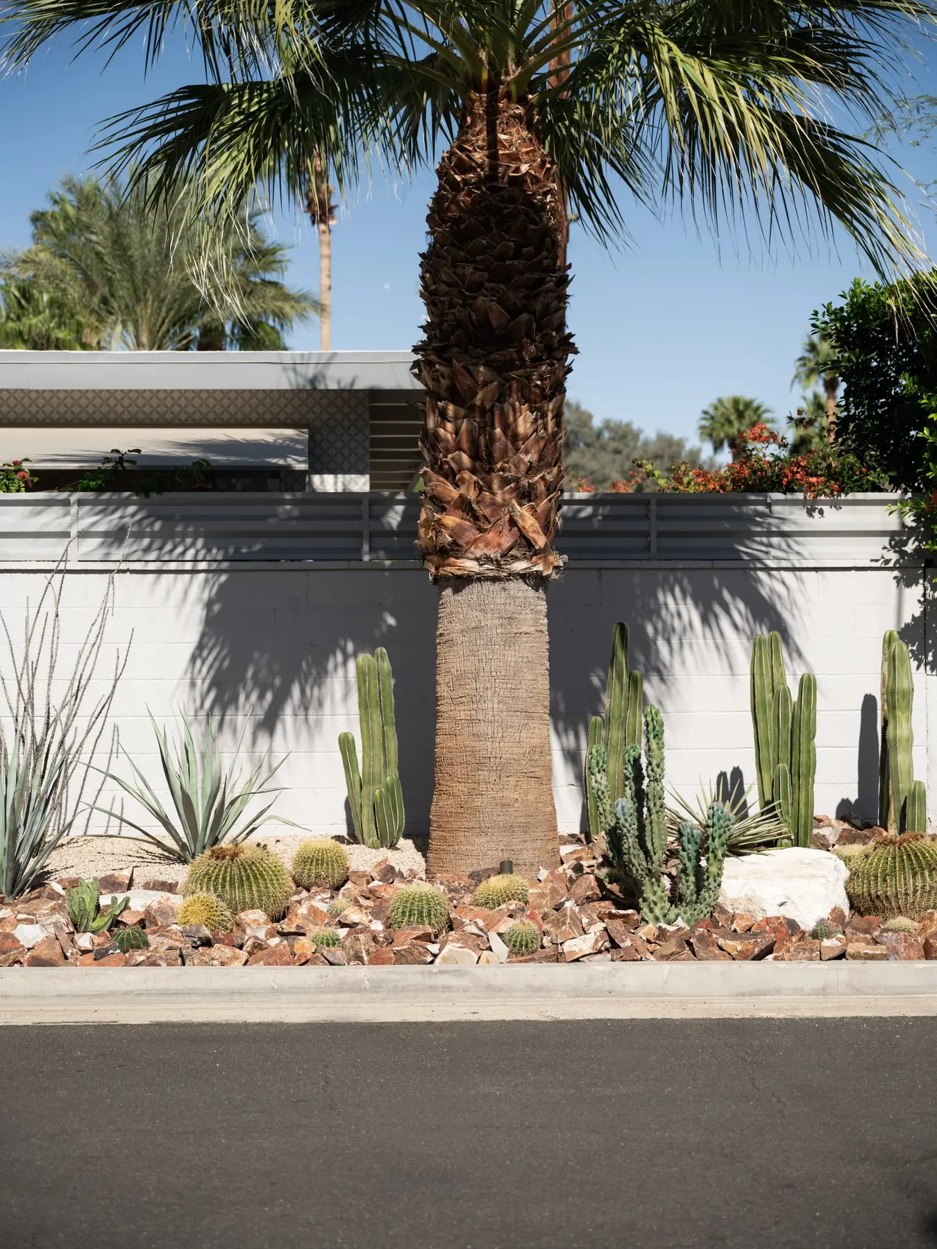 Cactus Shield outdoor living in Coachella Valley, CA by La Riviera Studios
