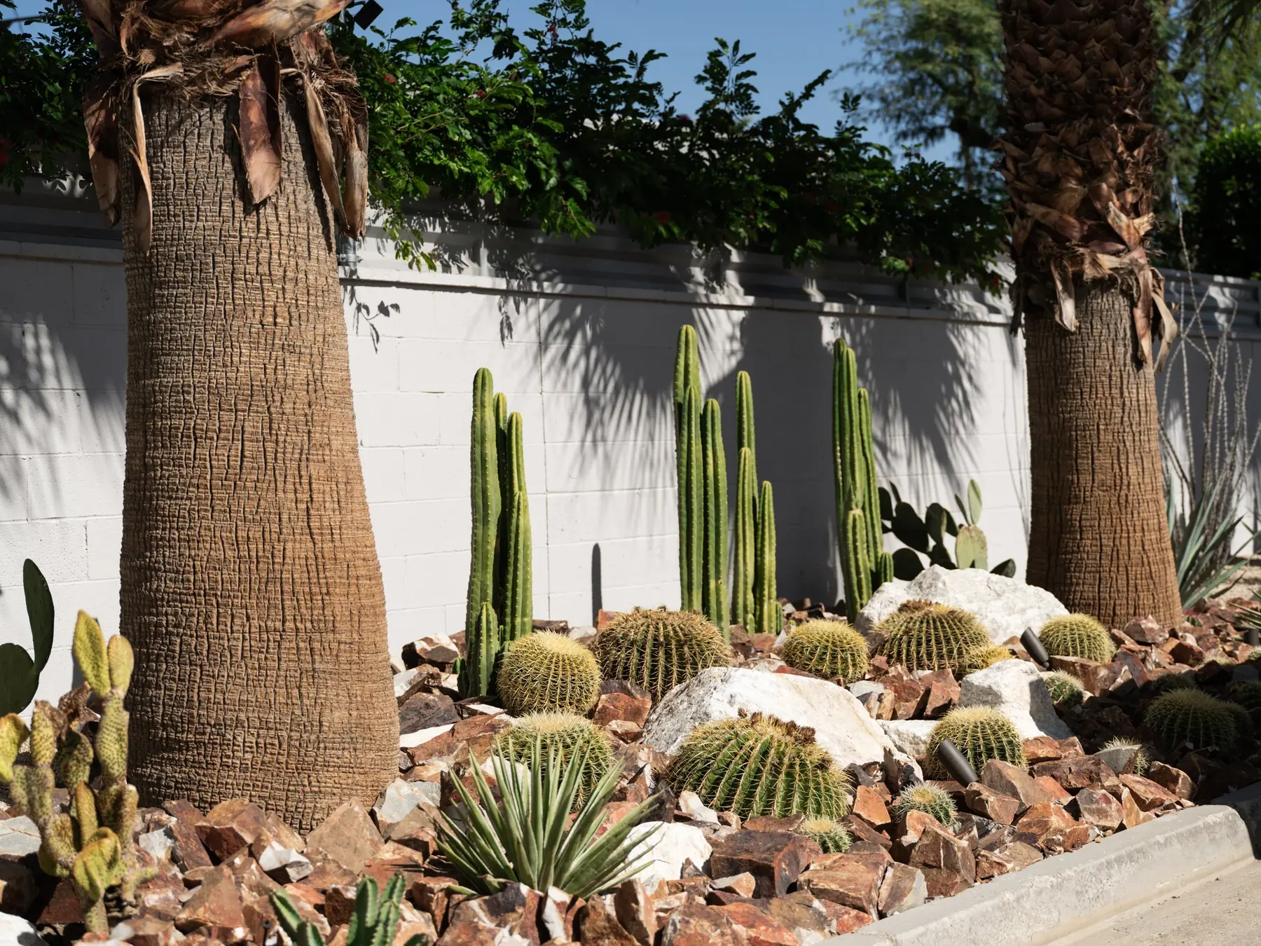 Cactus Shield outdoor living in Coachella Valley, CA by La Riviera Studios