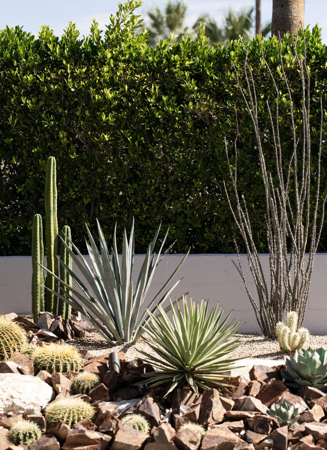 Cactus Shield outdoor living in Coachella Valley, CA by La Riviera Studios