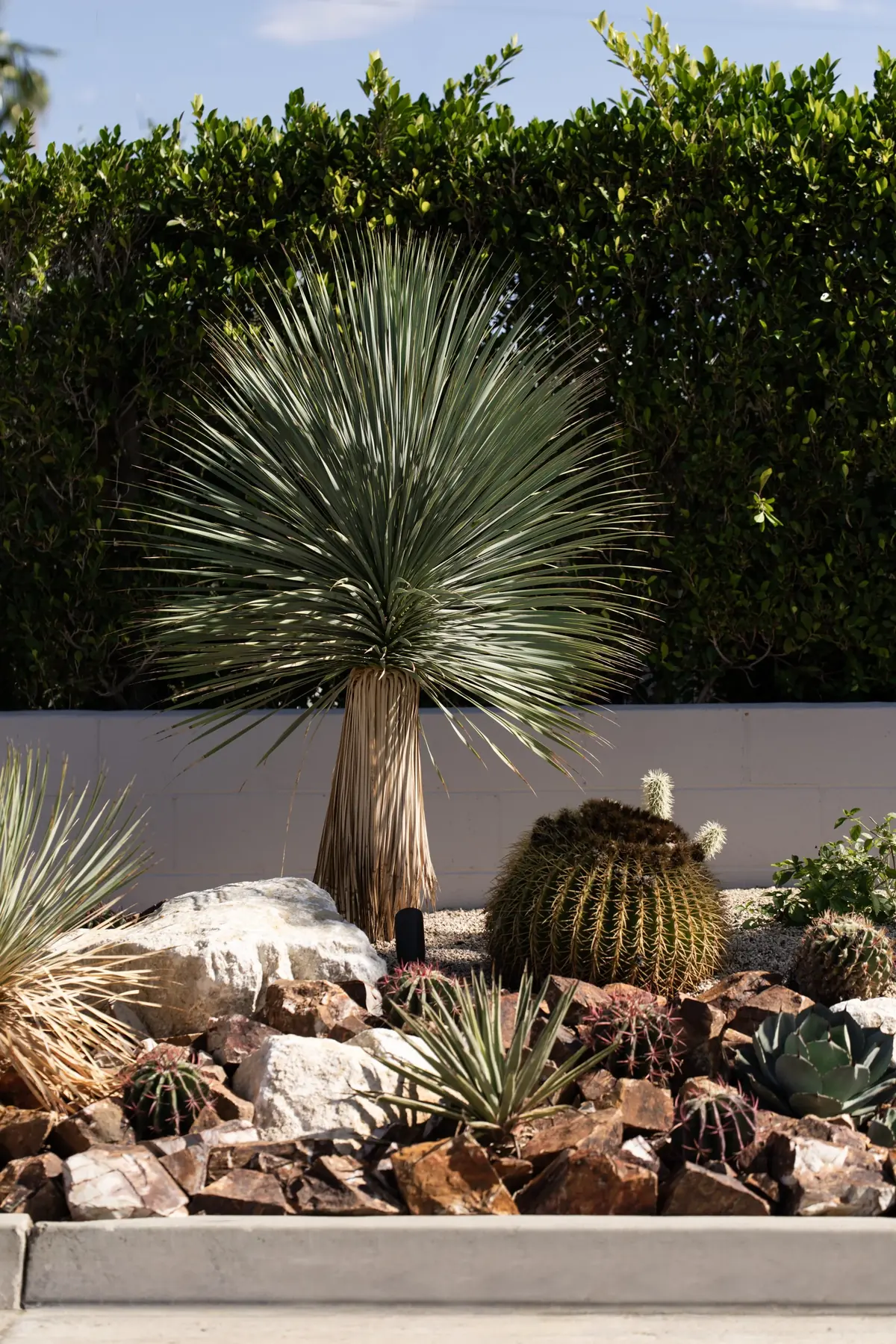 Cactus Shield outdoor living in Coachella Valley, CA by La Riviera Studios