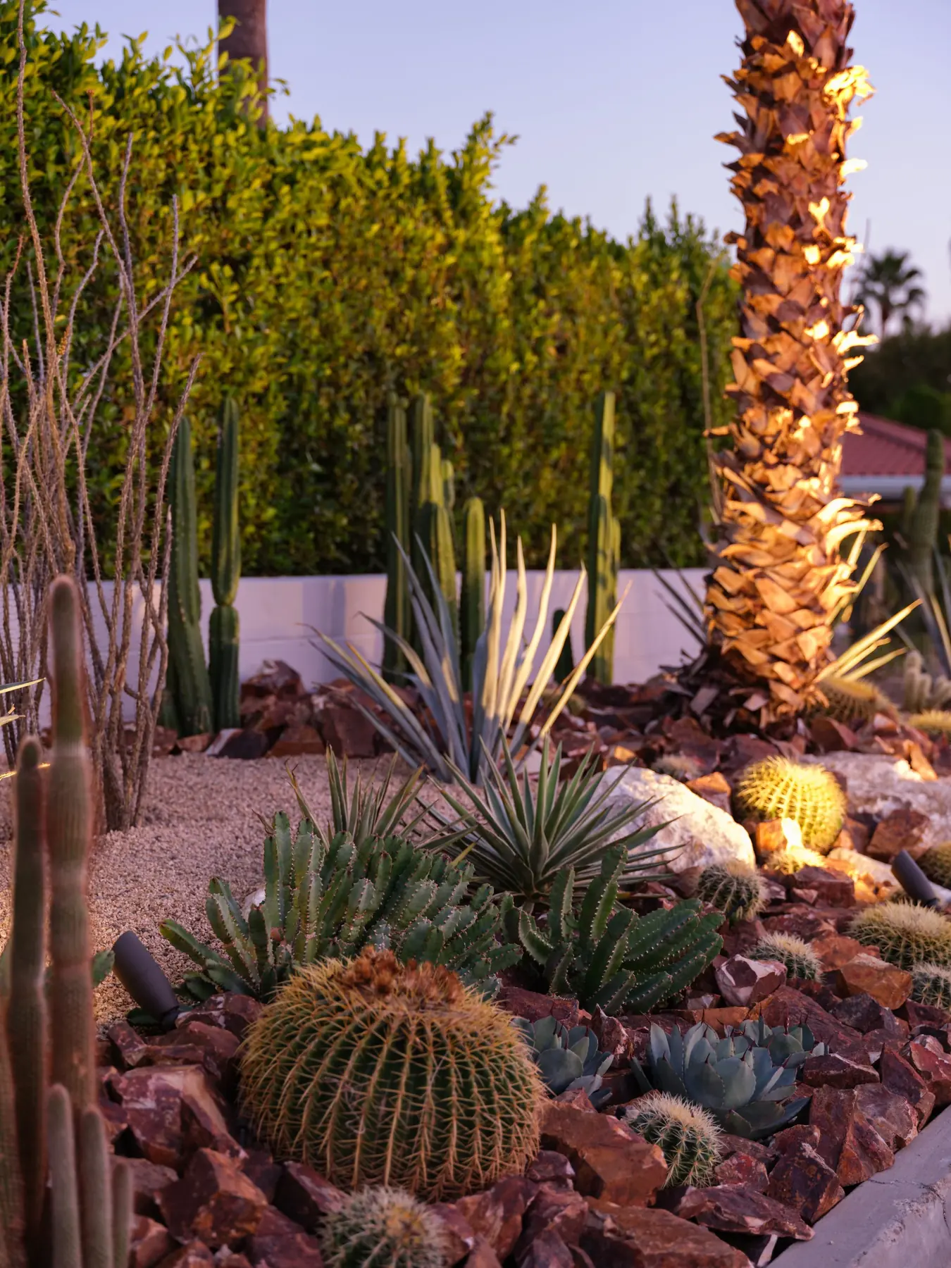 Cactus Shield outdoor living in Coachella Valley, CA by La Riviera Studios
