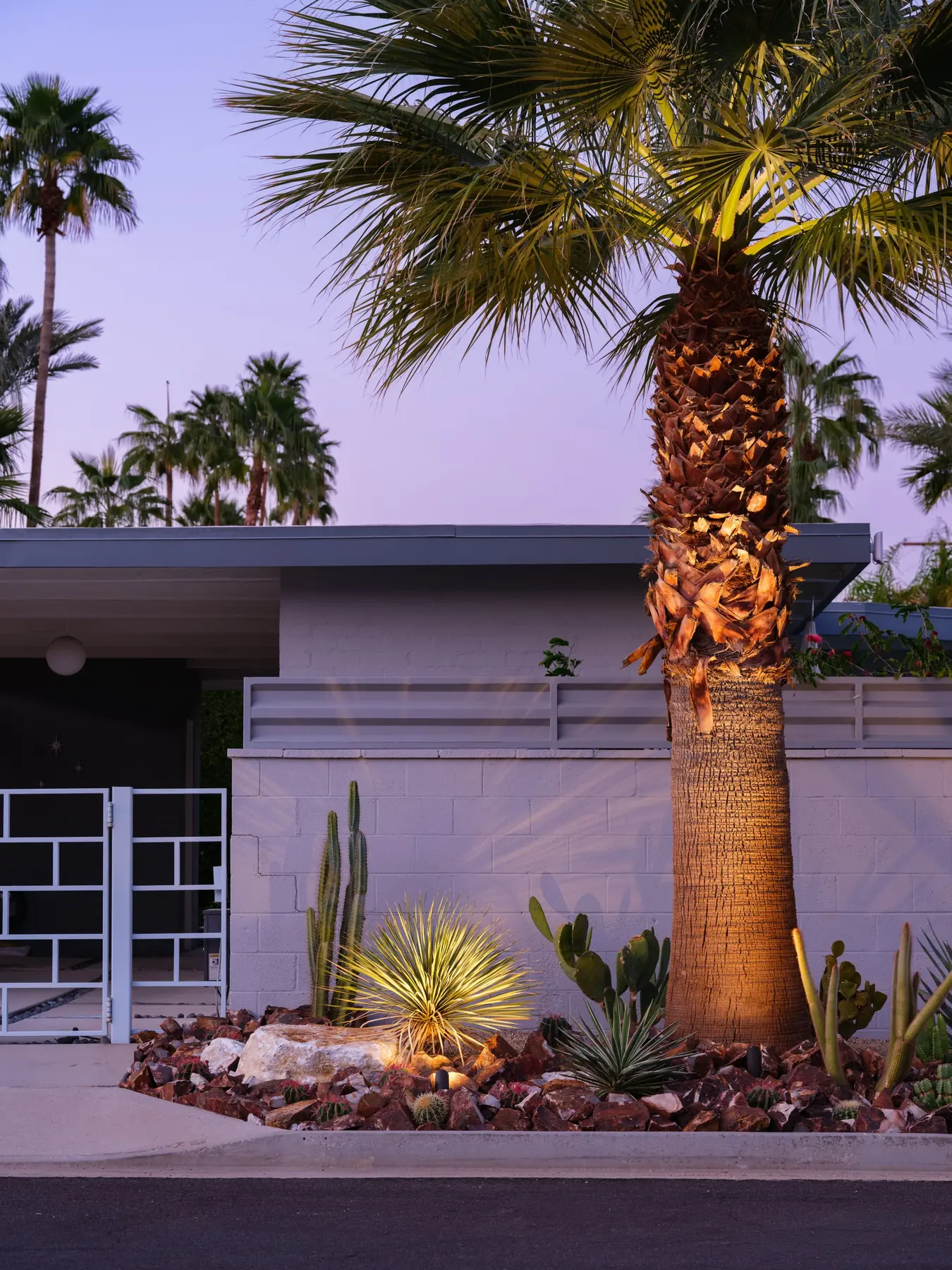 Cactus Shield outdoor living in Coachella Valley, CA by La Riviera Studios