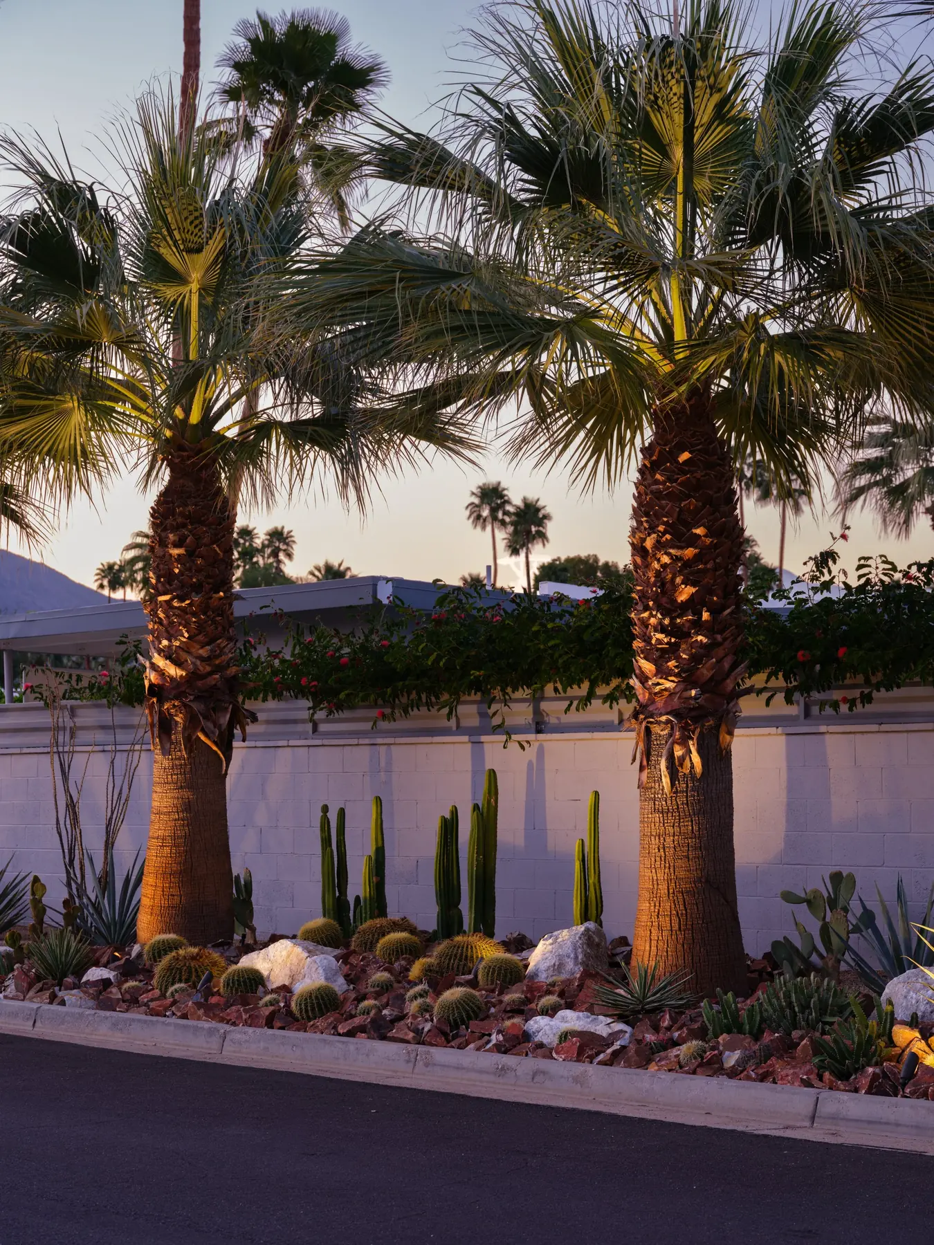 Cactus Shield outdoor living in Coachella Valley, CA by La Riviera Studios