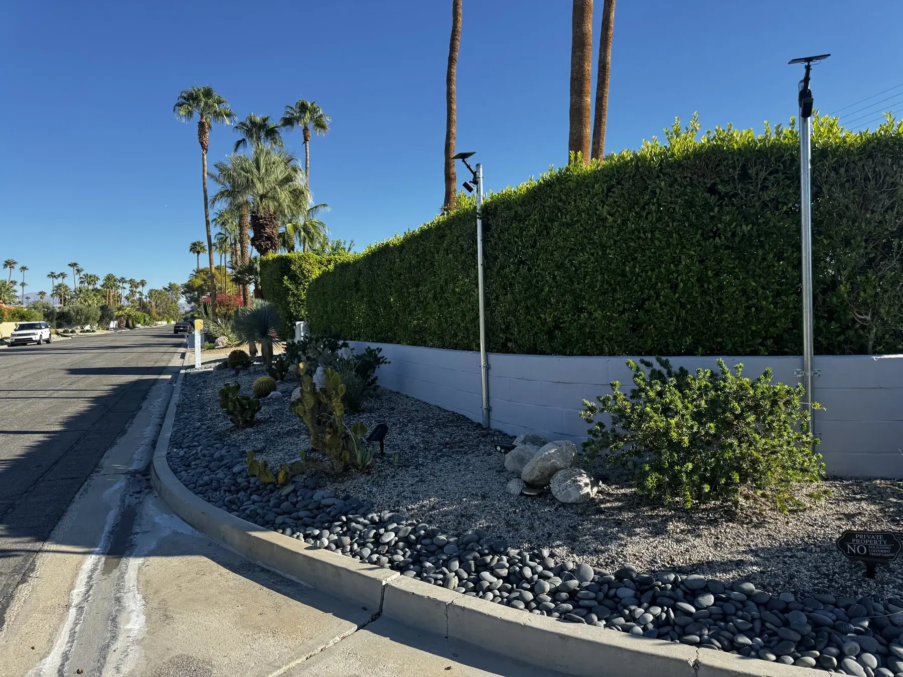 Cactus Shield outdoor living in Coachella Valley, CA by La Riviera Studios