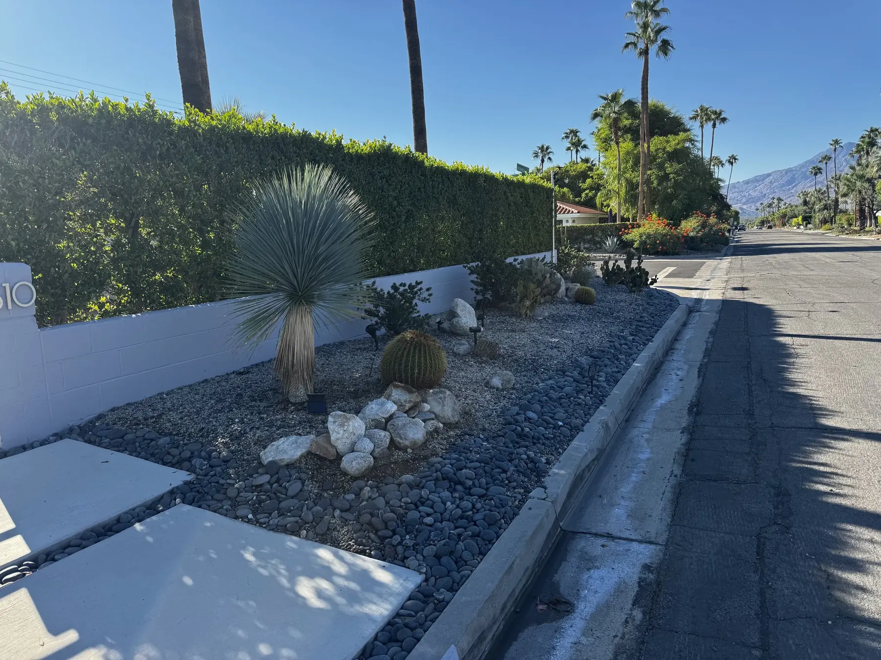 Cactus Shield outdoor living in Coachella Valley, CA by La Riviera Studios