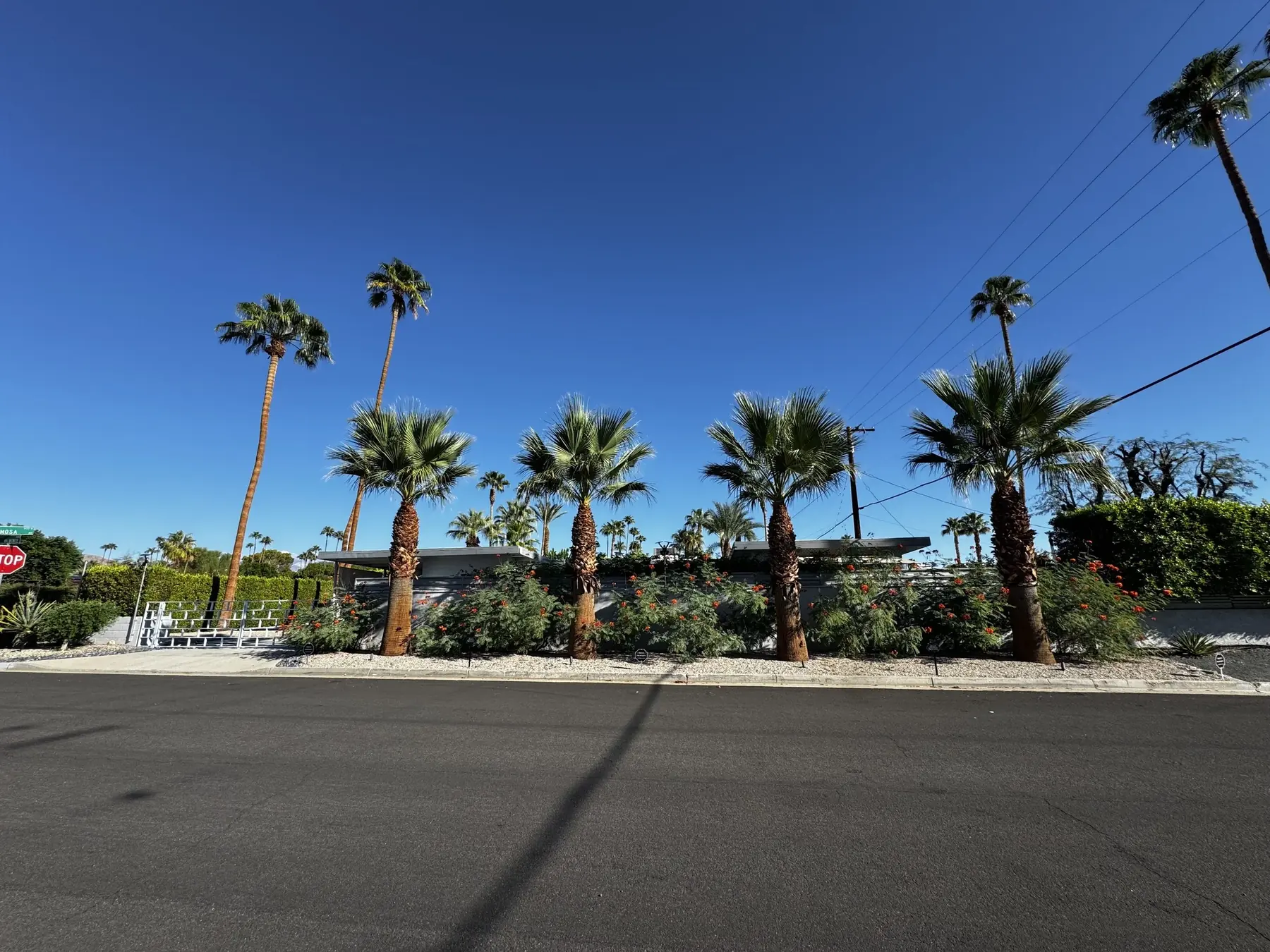 Cactus Shield outdoor living in Coachella Valley, CA by La Riviera Studios