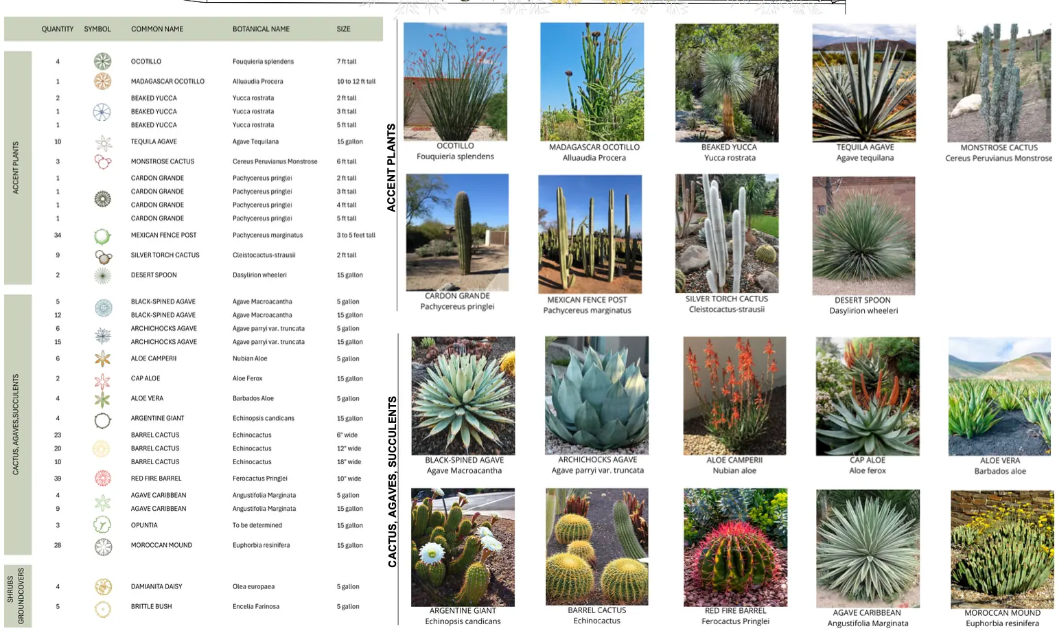 Cactus Shield outdoor living in Coachella Valley, CA by La Riviera Studios