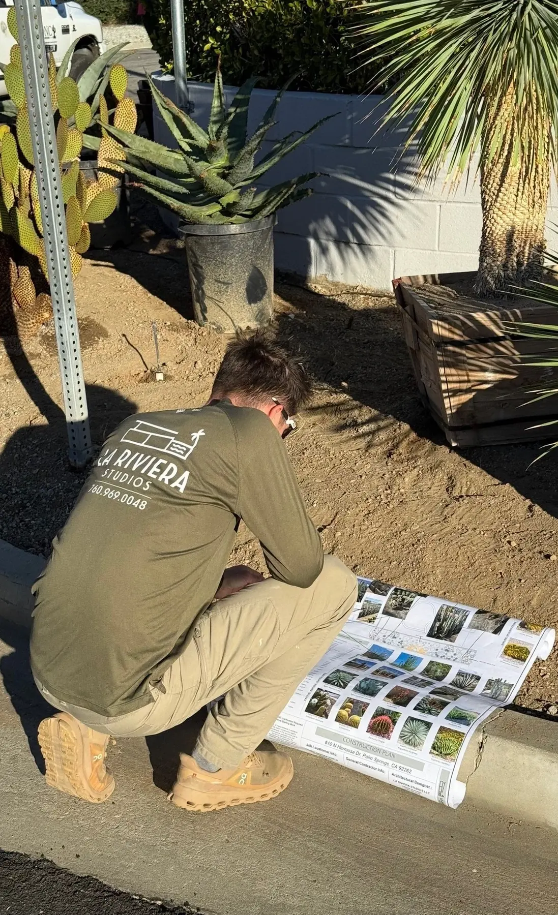 Cactus Shield outdoor living in Coachella Valley, CA by La Riviera Studios