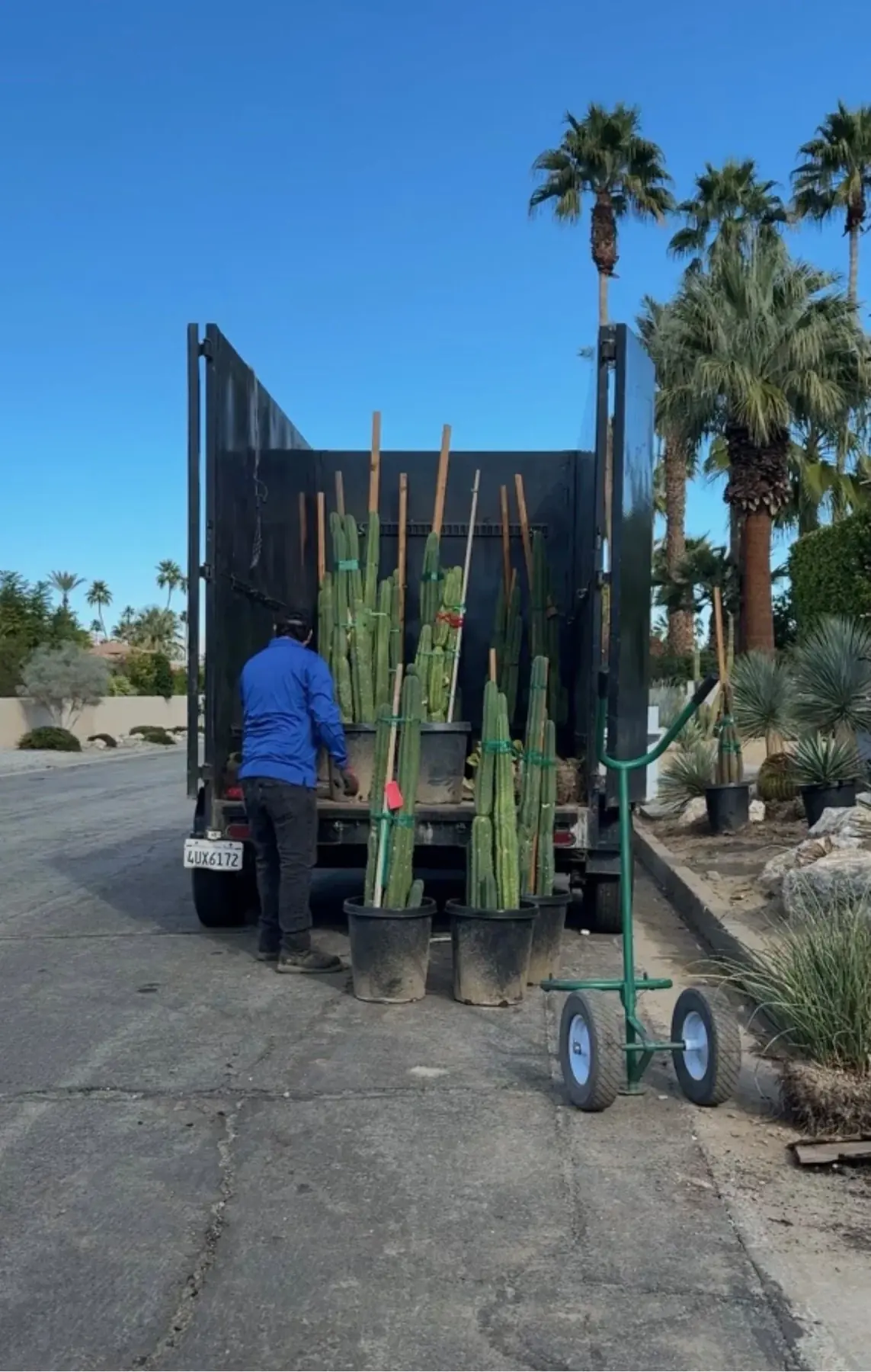 Cactus Shield outdoor living in Coachella Valley, CA by La Riviera Studios