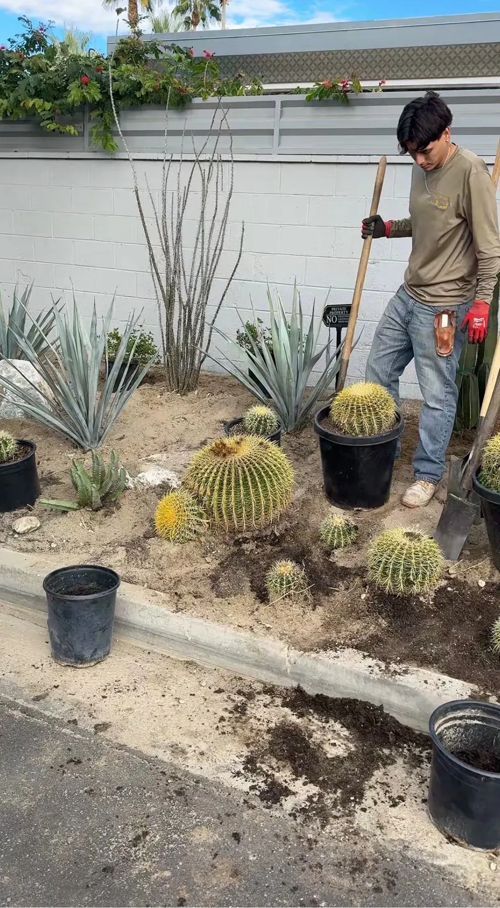 Cactus Shield outdoor living in Coachella Valley, CA by La Riviera Studios