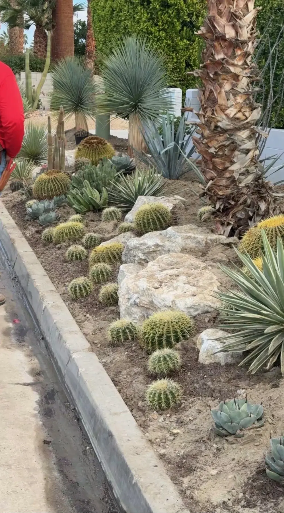 Cactus Shield outdoor living in Coachella Valley, CA by La Riviera Studios