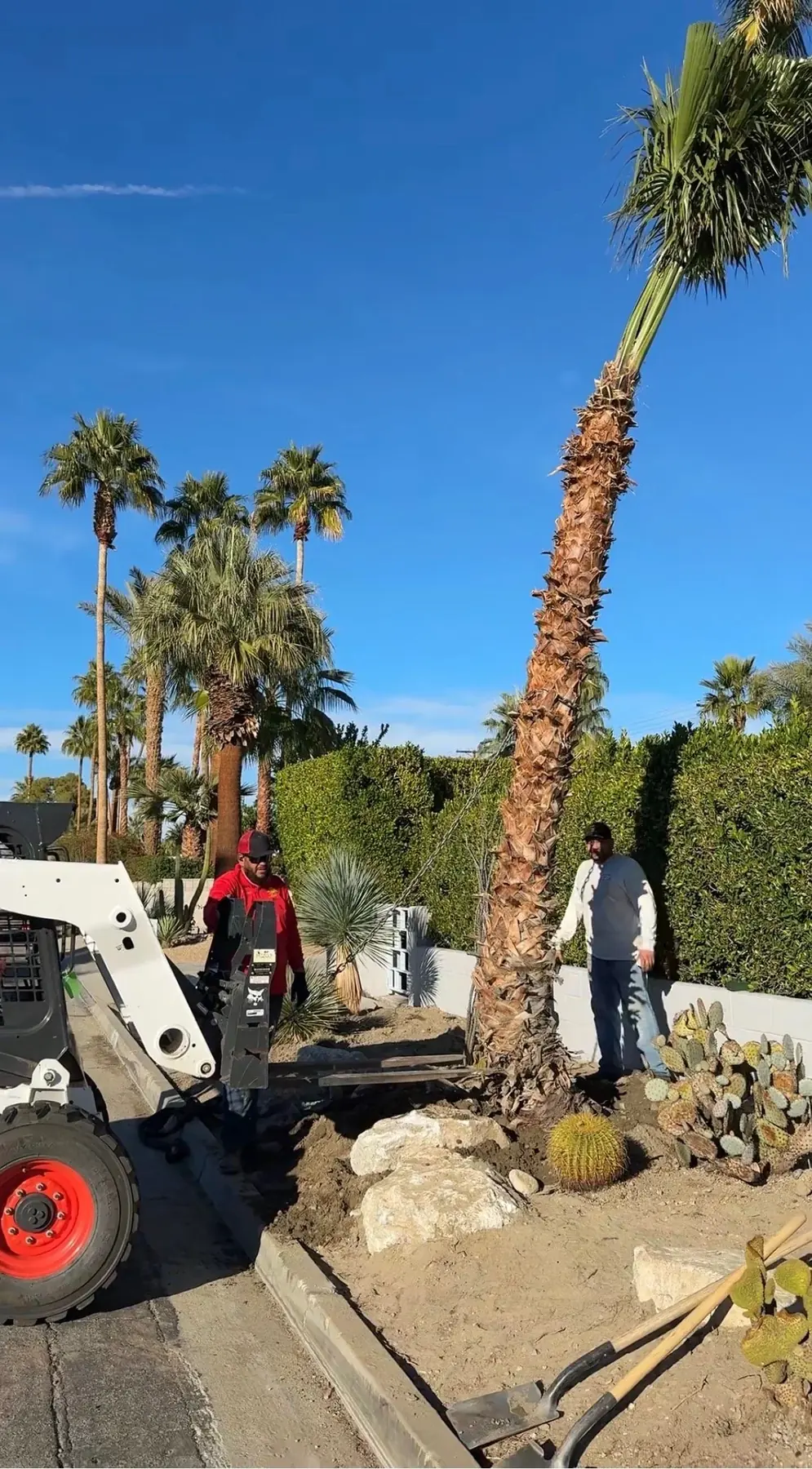 Cactus Shield outdoor living in Coachella Valley, CA by La Riviera Studios