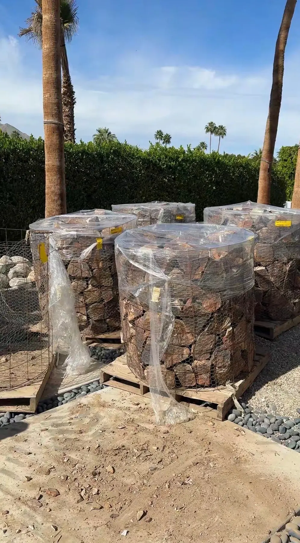 Cactus Shield outdoor living in Coachella Valley, CA by La Riviera Studios