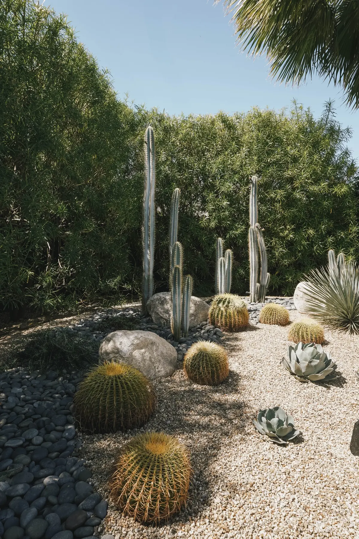 Desert Palm II outdoor living in Coachella Valley, CA by La Riviera Studios