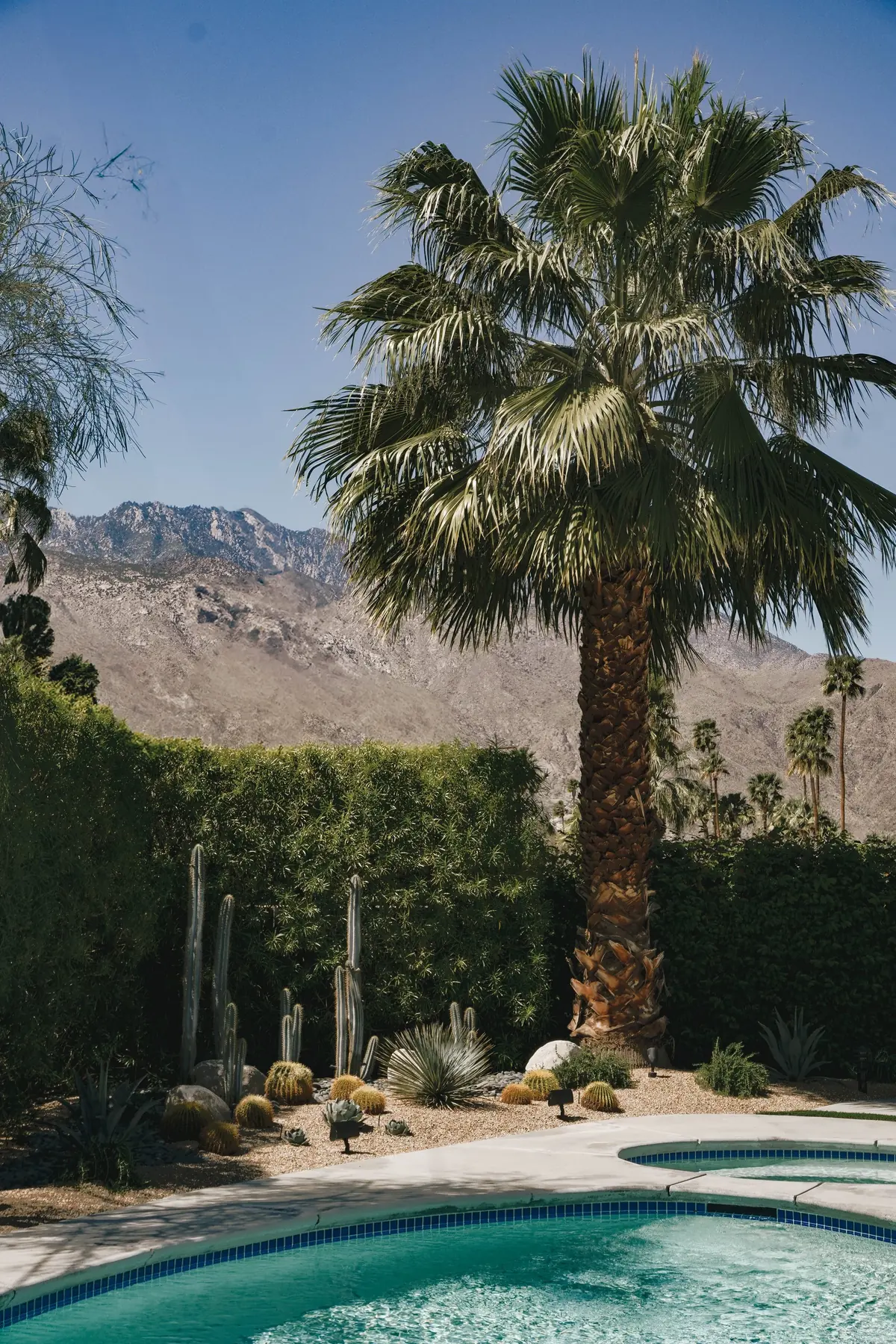 Desert Palm II outdoor living in Coachella Valley, CA by La Riviera Studios