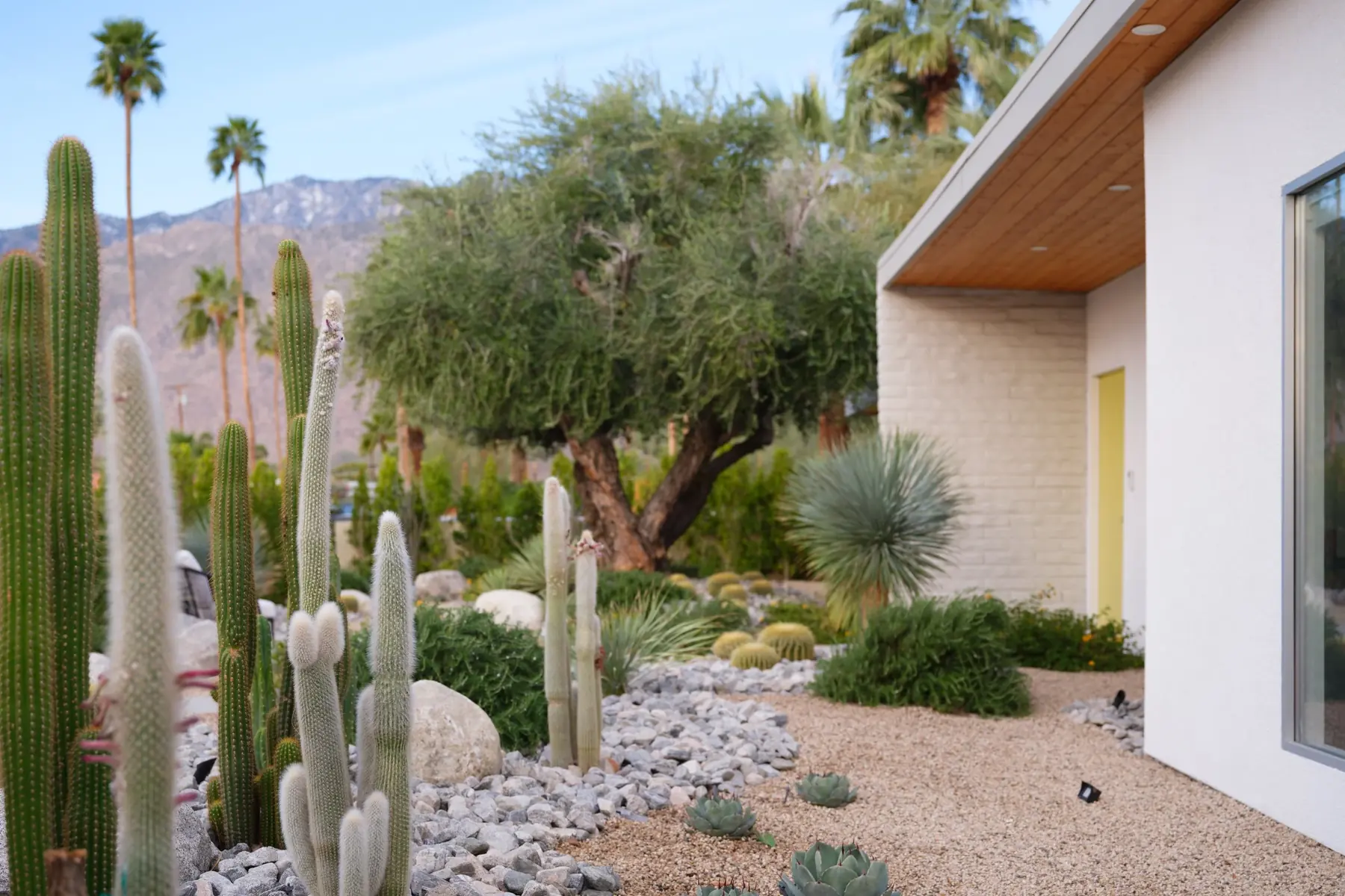 Desert Palm outdoor living in Coachella Valley, CA by La Riviera Studios