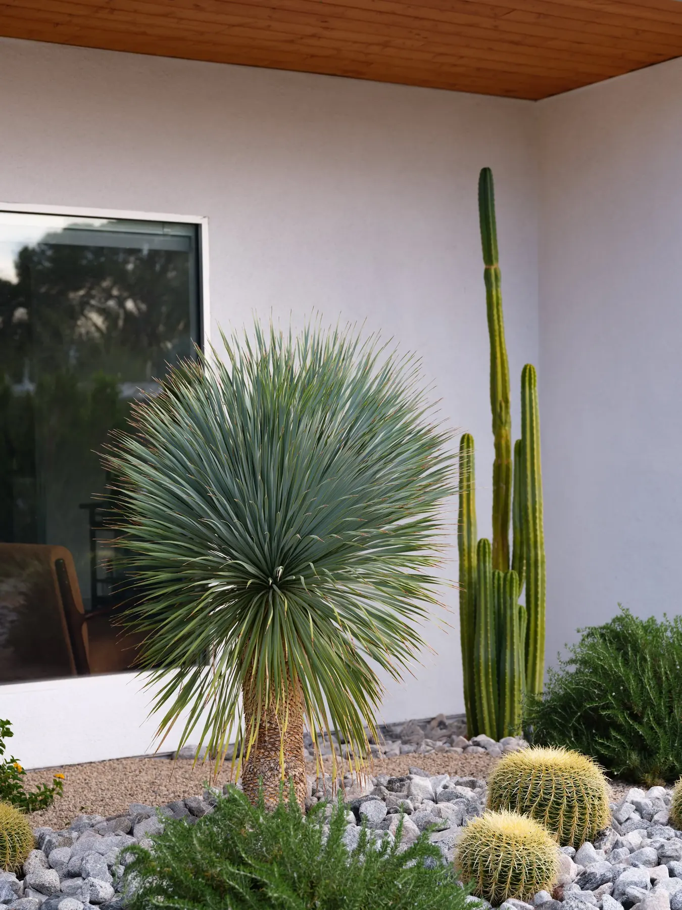 Desert Palm outdoor living in Coachella Valley, CA by La Riviera Studios
