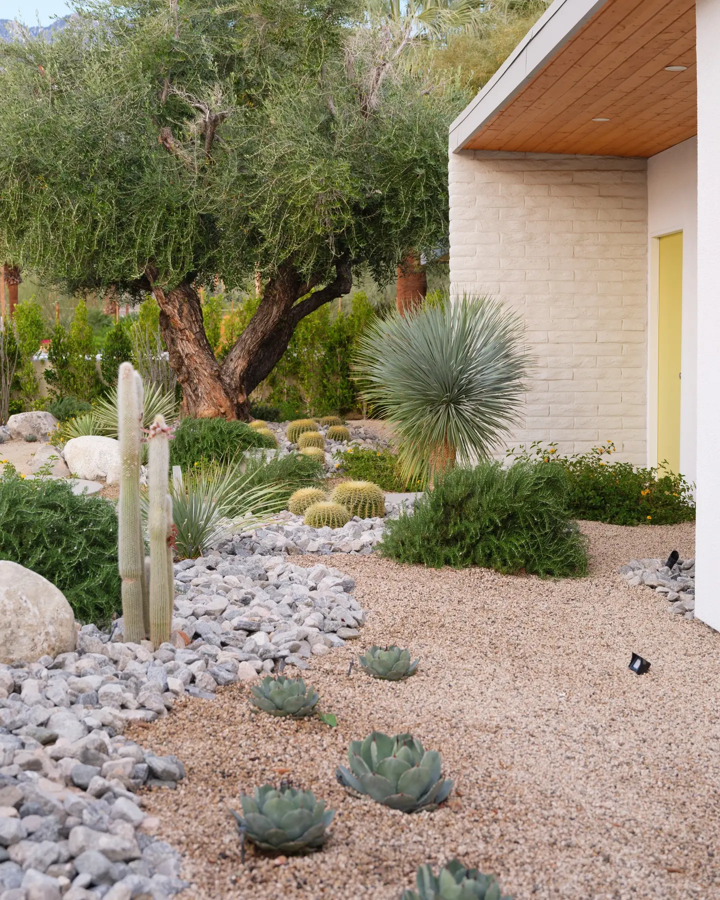 Desert Palm outdoor living in Coachella Valley, CA by La Riviera Studios