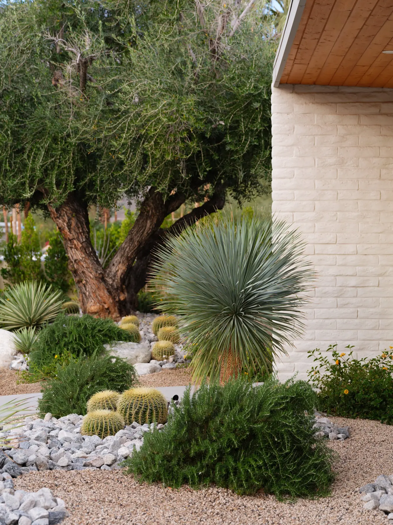 Desert Palm outdoor living in Coachella Valley, CA by La Riviera Studios