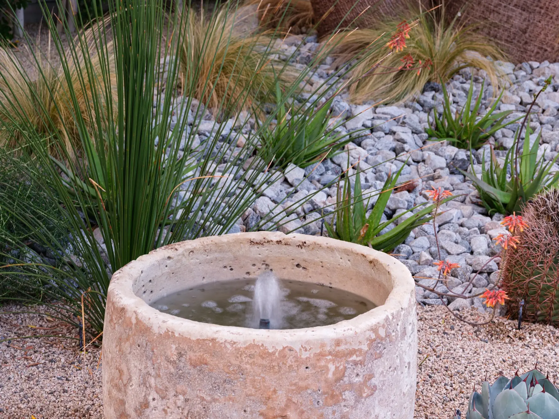 Desert Palm outdoor living in Coachella Valley, CA by La Riviera Studios