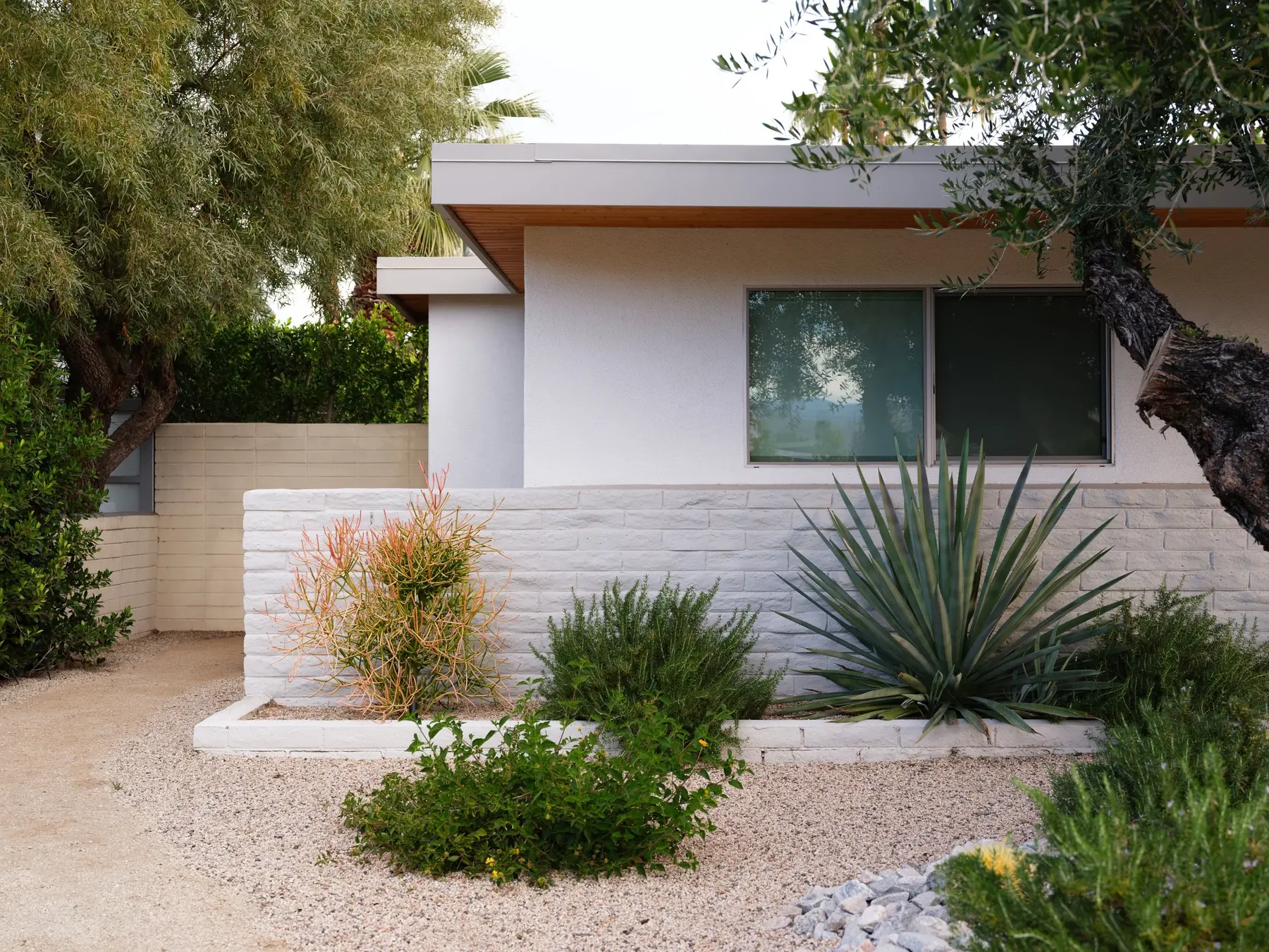 Desert Palm outdoor living in Coachella Valley, CA by La Riviera Studios