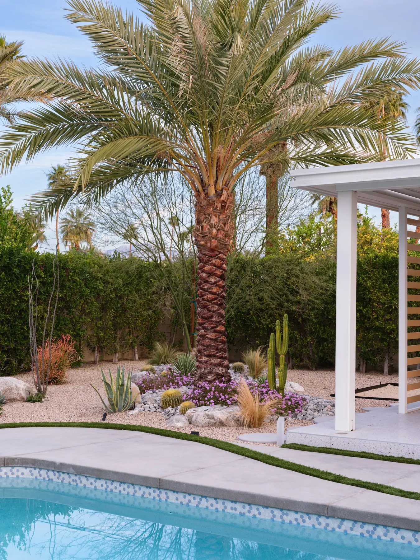 Desert Palm outdoor living in Coachella Valley, CA by La Riviera Studios