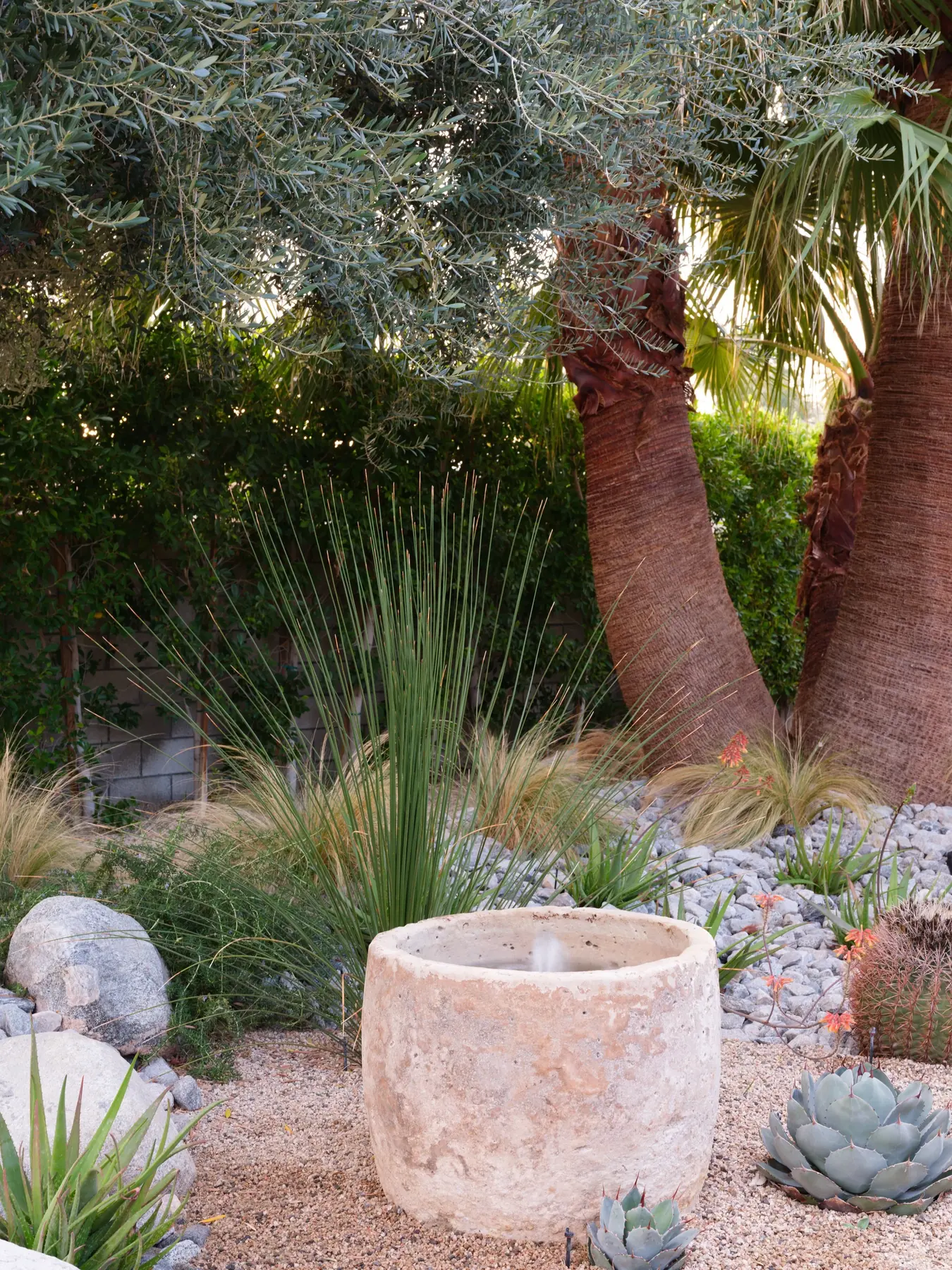 Desert Palm outdoor living in Coachella Valley, CA by La Riviera Studios