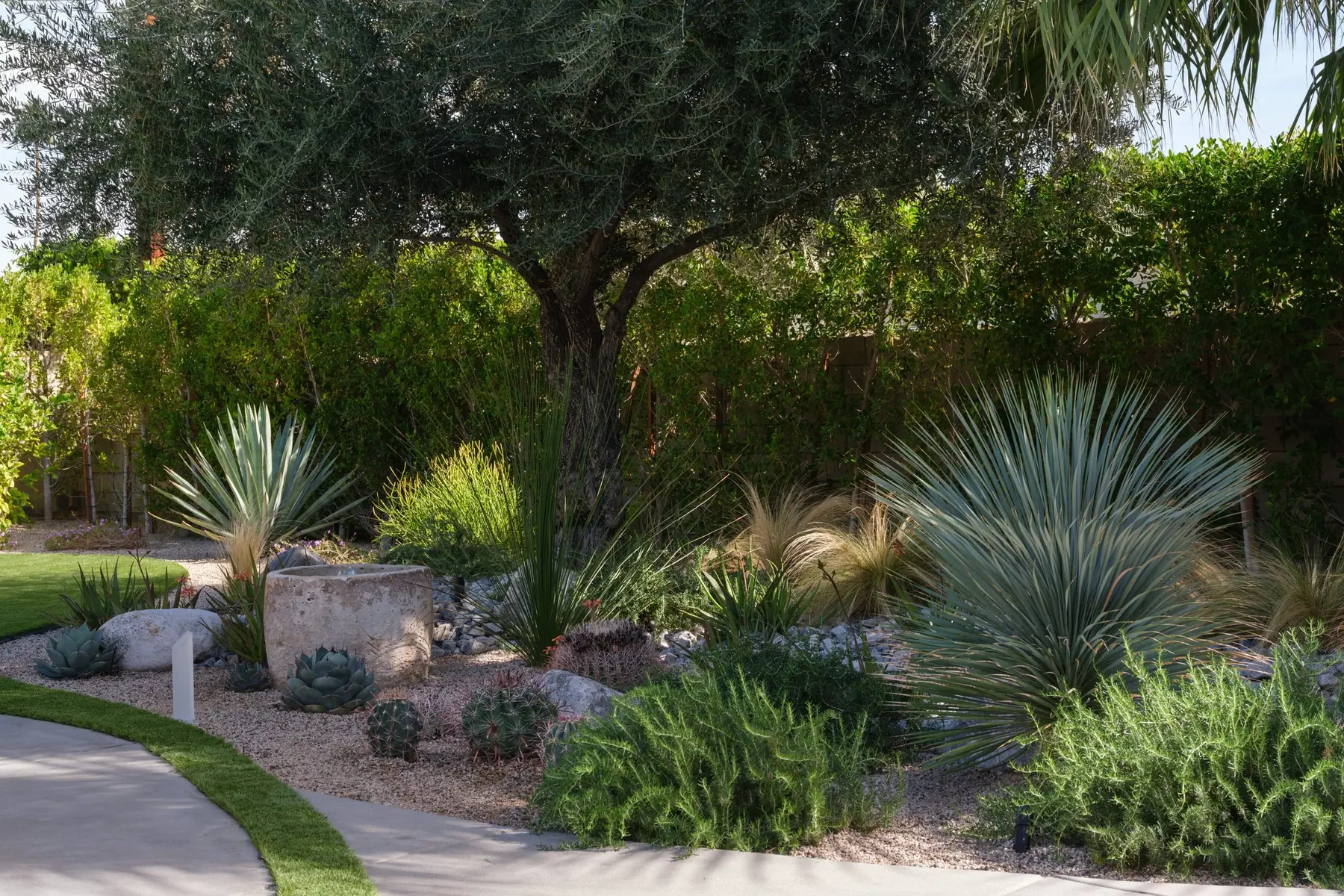 Desert Palm outdoor living in Coachella Valley, CA by La Riviera Studios