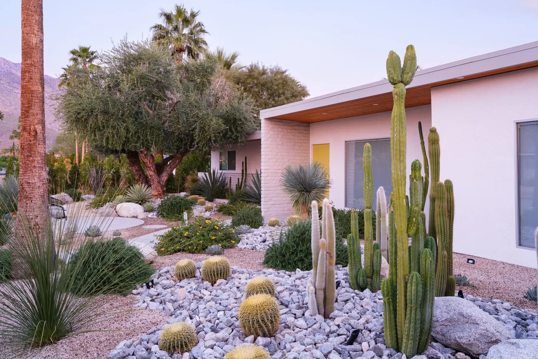Desert Palm outdoor living in Coachella Valley, CA by La Riviera Studios