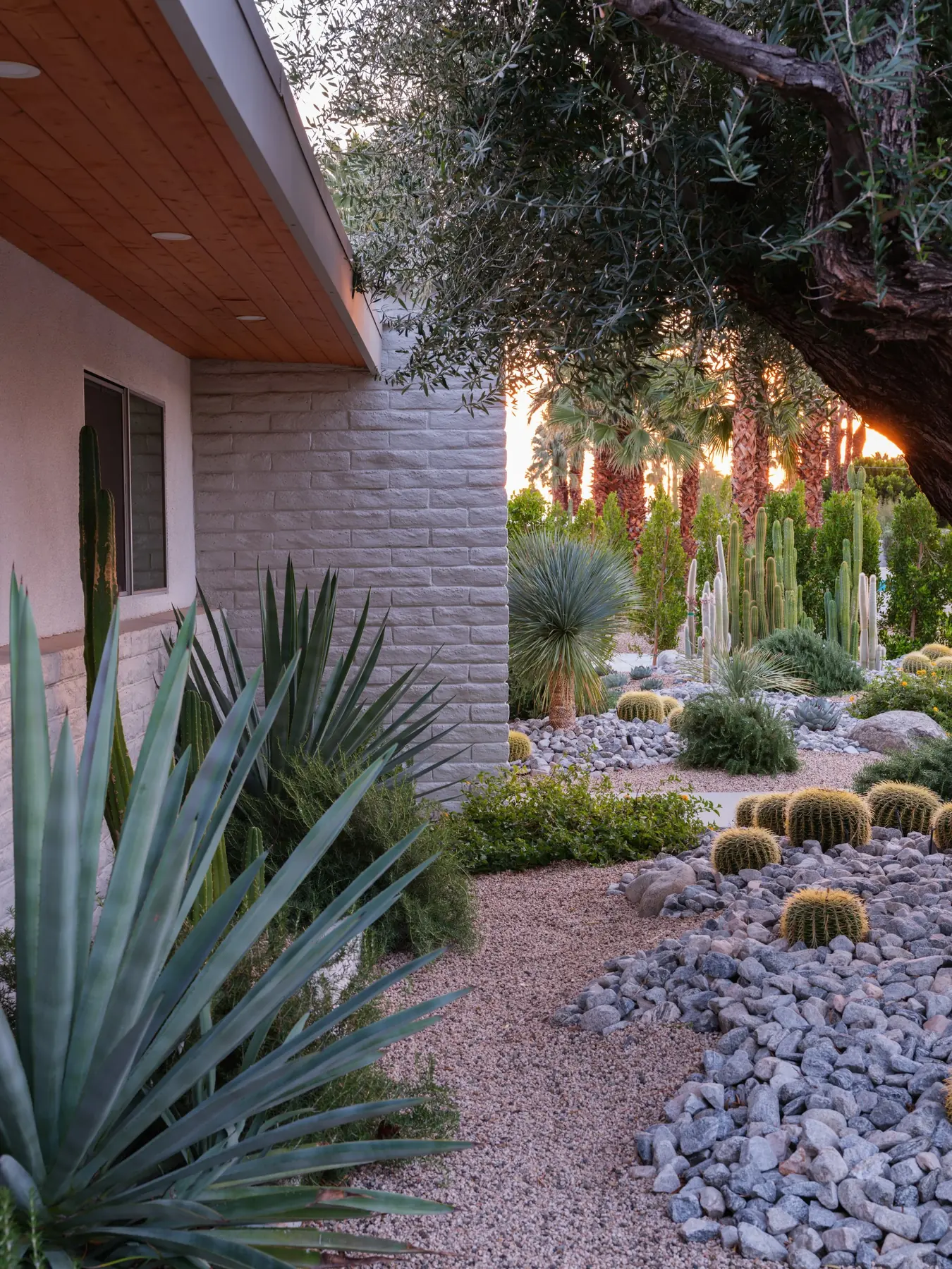 Desert Palm outdoor living in Coachella Valley, CA by La Riviera Studios
