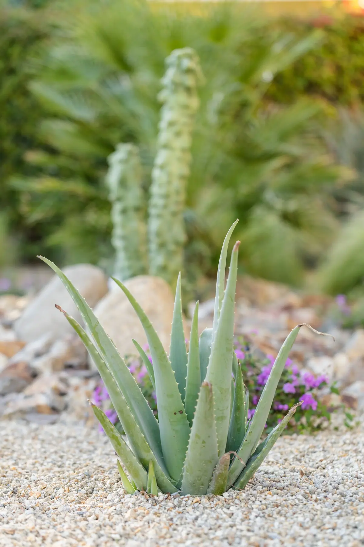 Thunderbird Terrace full-service outdoor living detail in Rancho Mirage, CA by La Riviera Studios