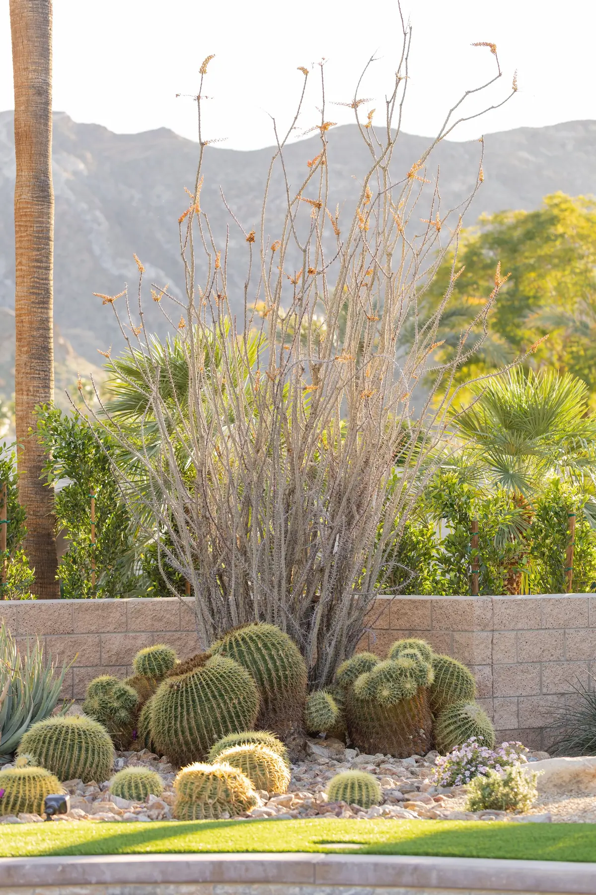 Thunderbird Terrace full-service outdoor living detail in Rancho Mirage, CA by La Riviera Studios