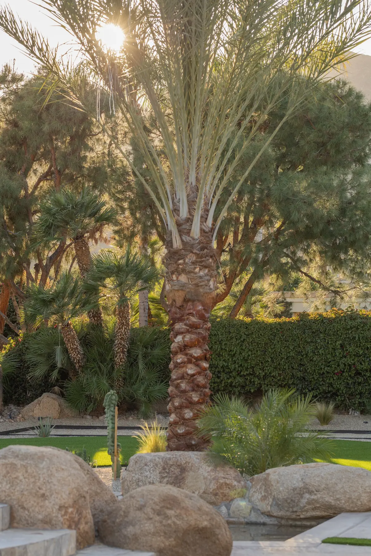 Thunderbird Terrace full-service outdoor living detail in Rancho Mirage, CA by La Riviera Studios