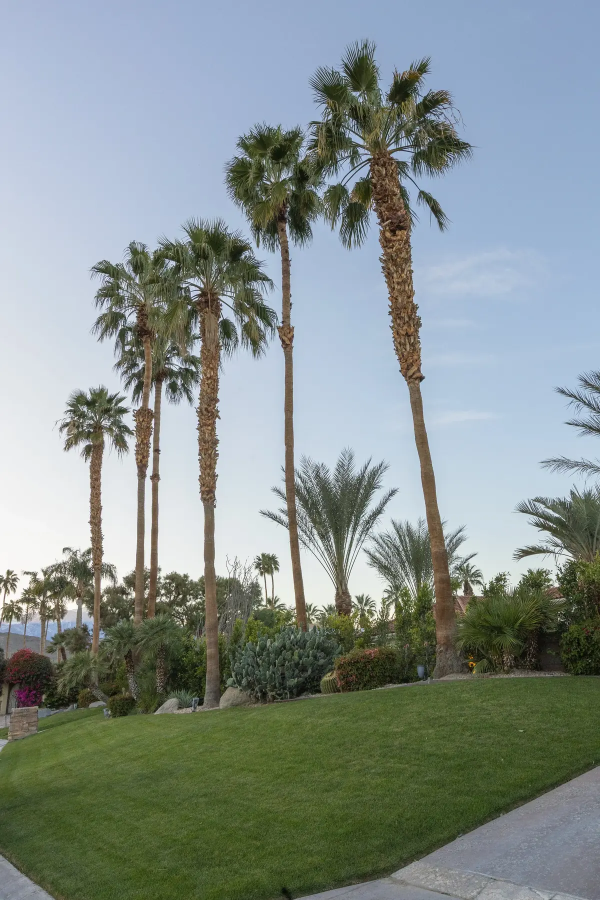 Thunderbird Terrace full-service outdoor living detail in Rancho Mirage, CA by La Riviera Studios