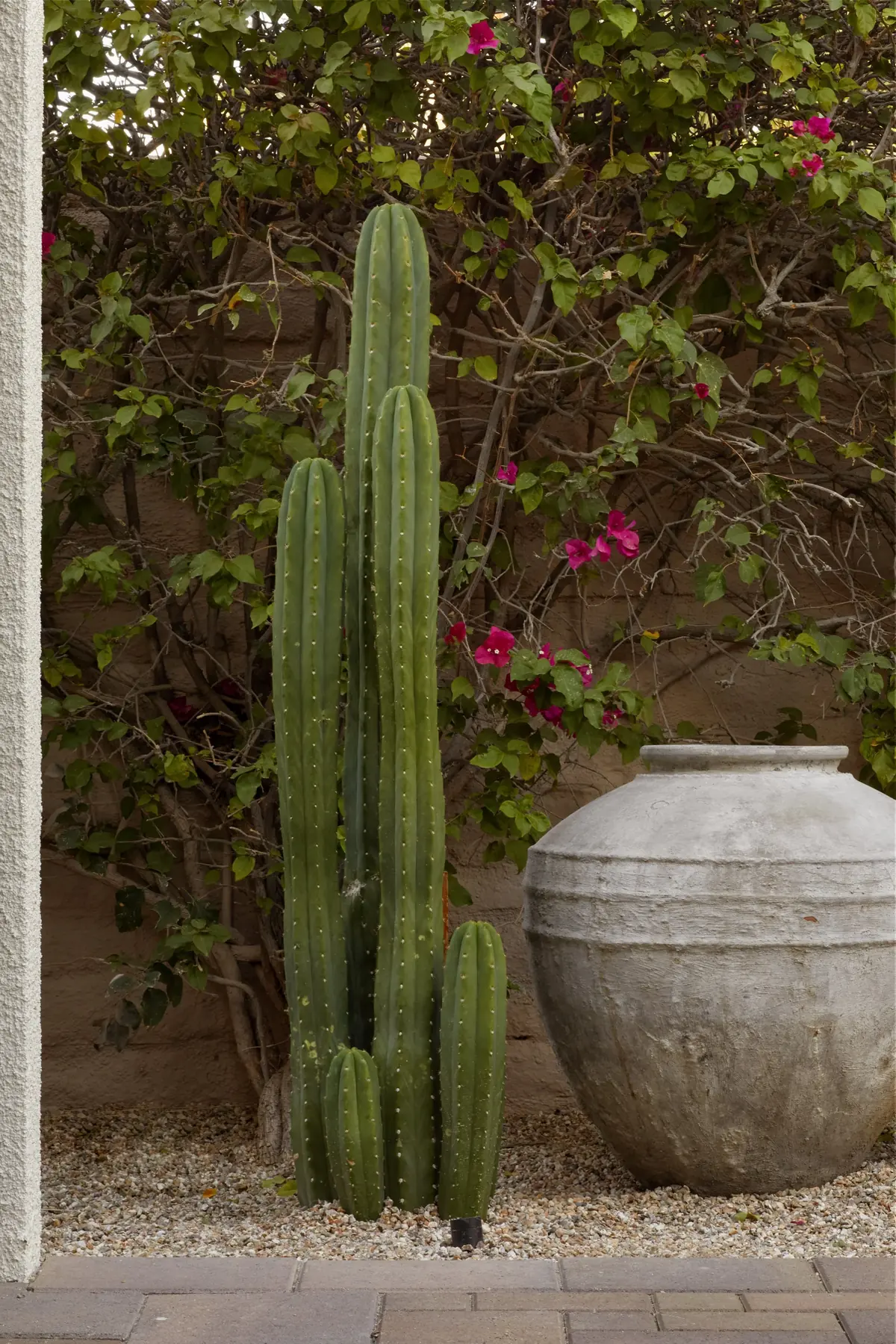 Thunderbird outdoor living in Rancho Mirage, CA by La Riviera Studios