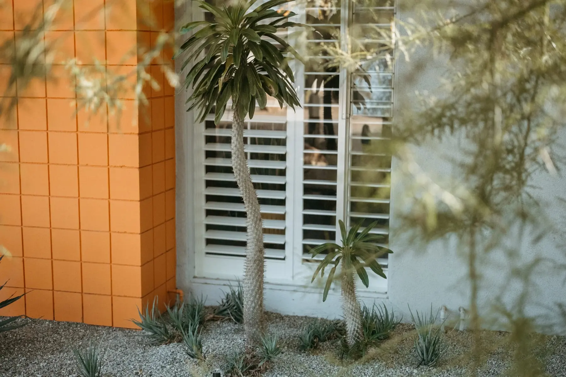 Casa Miguel outdoor living in Palm Springs, CA by La Riviera Studios