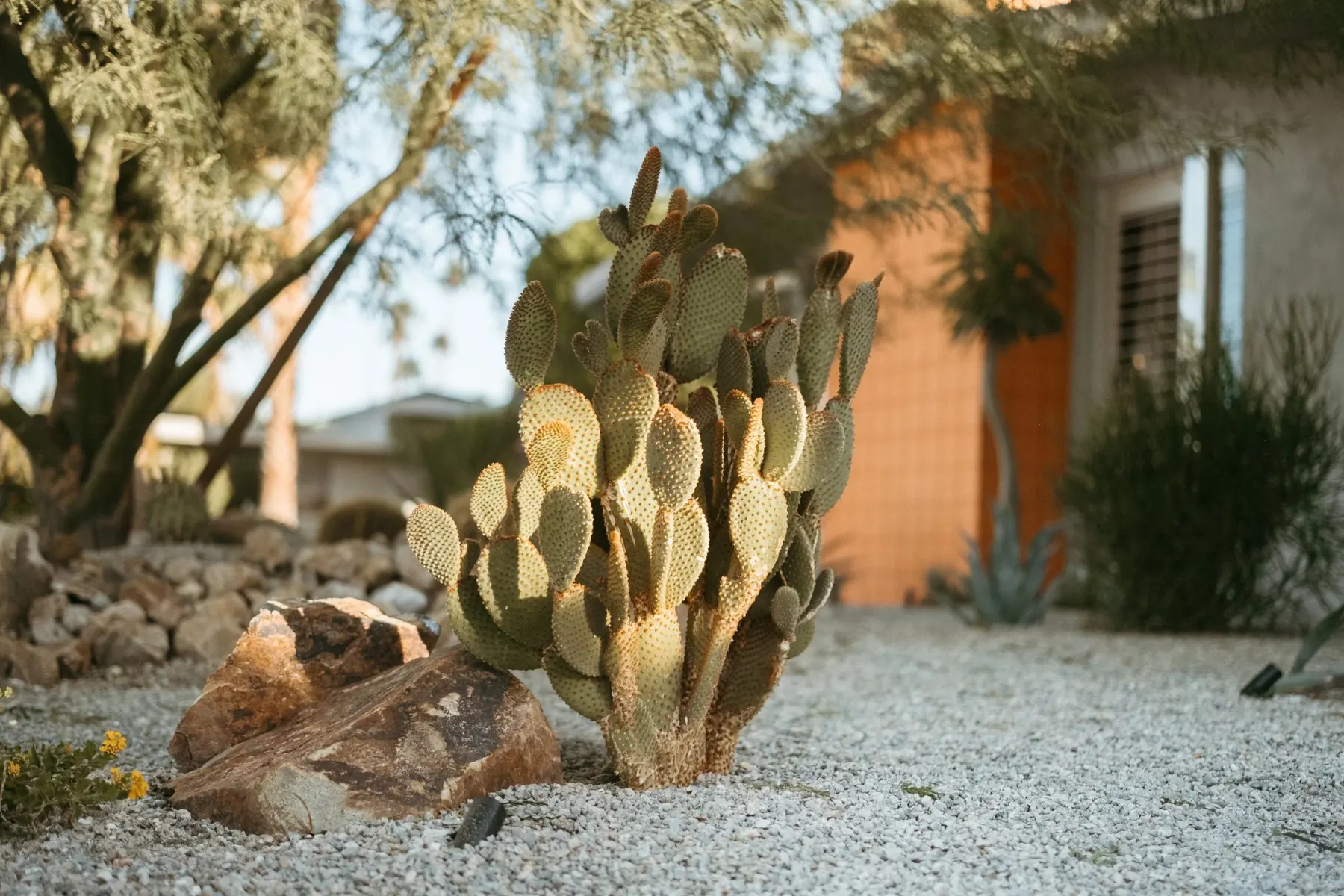Casa Miguel outdoor living in Palm Springs, CA by La Riviera Studios