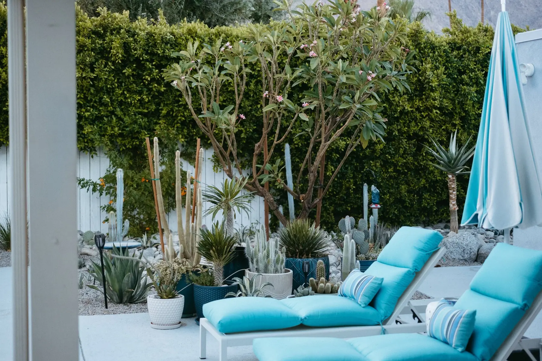 Casa Miguel outdoor living in Palm Springs, CA by La Riviera Studios