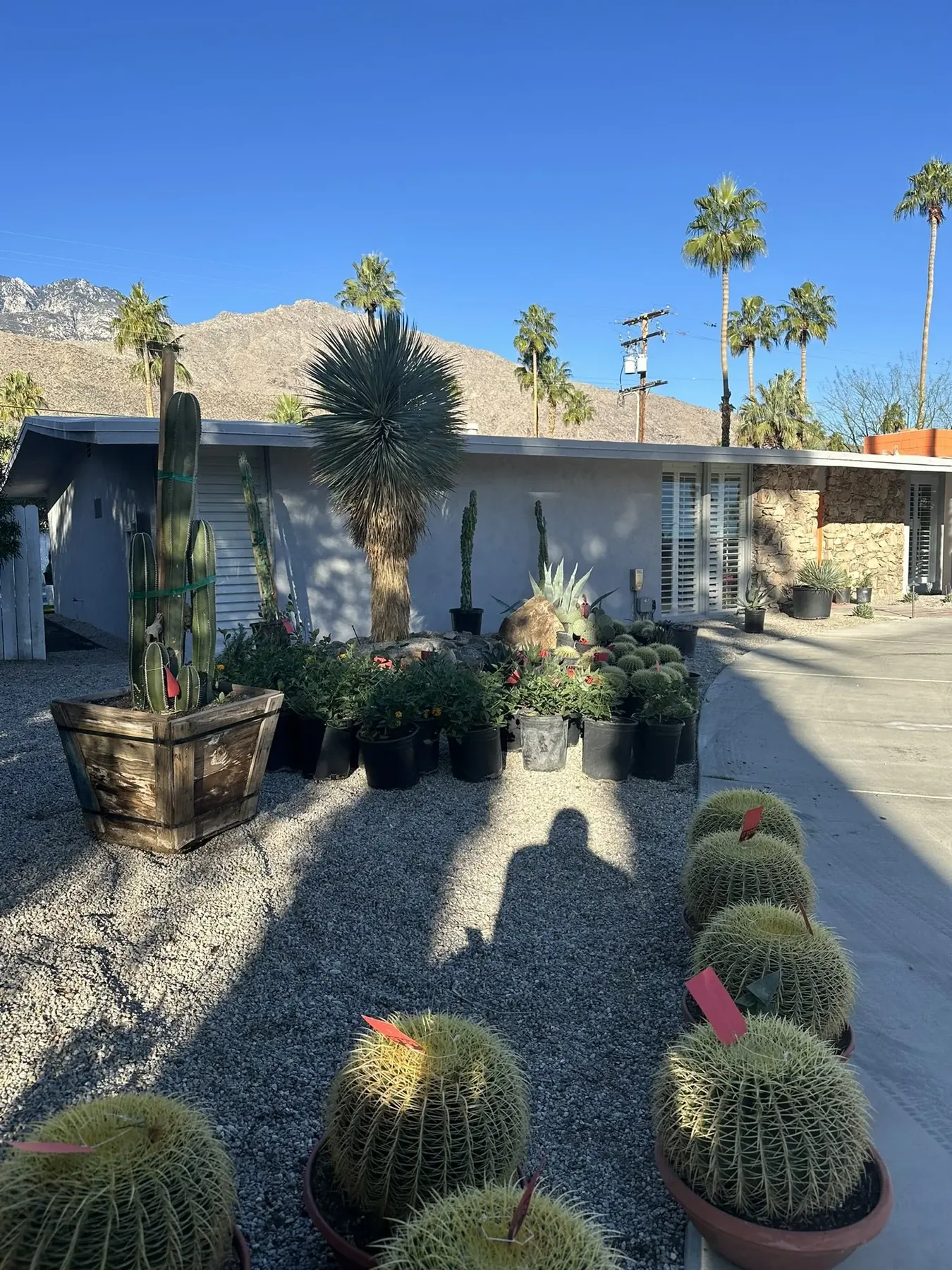 Casa Miguel outdoor living in Palm Springs, CA by La Riviera Studios