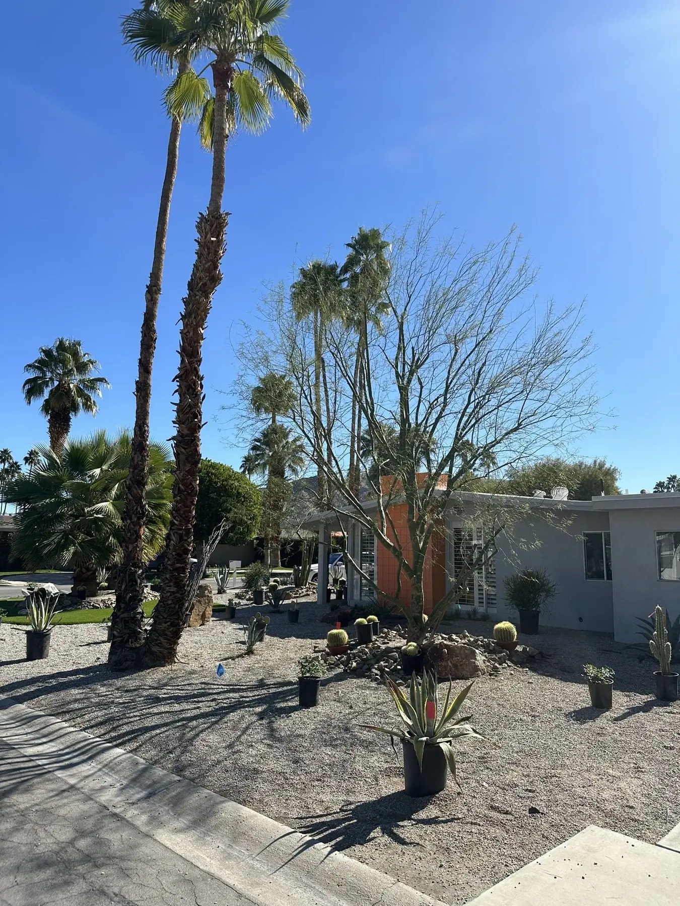 Casa Miguel outdoor living in Palm Springs, CA by La Riviera Studios